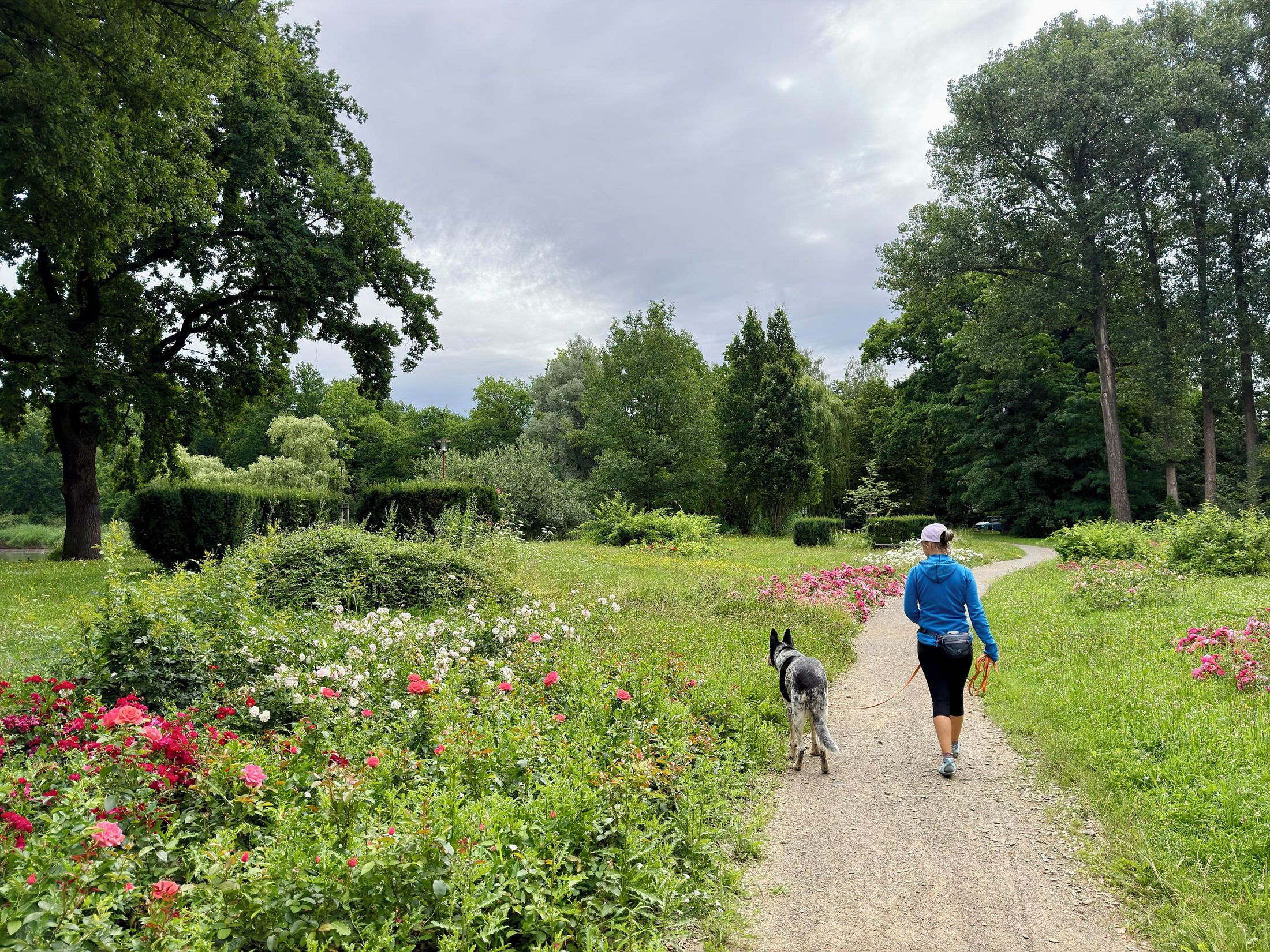 Westpark Zittau