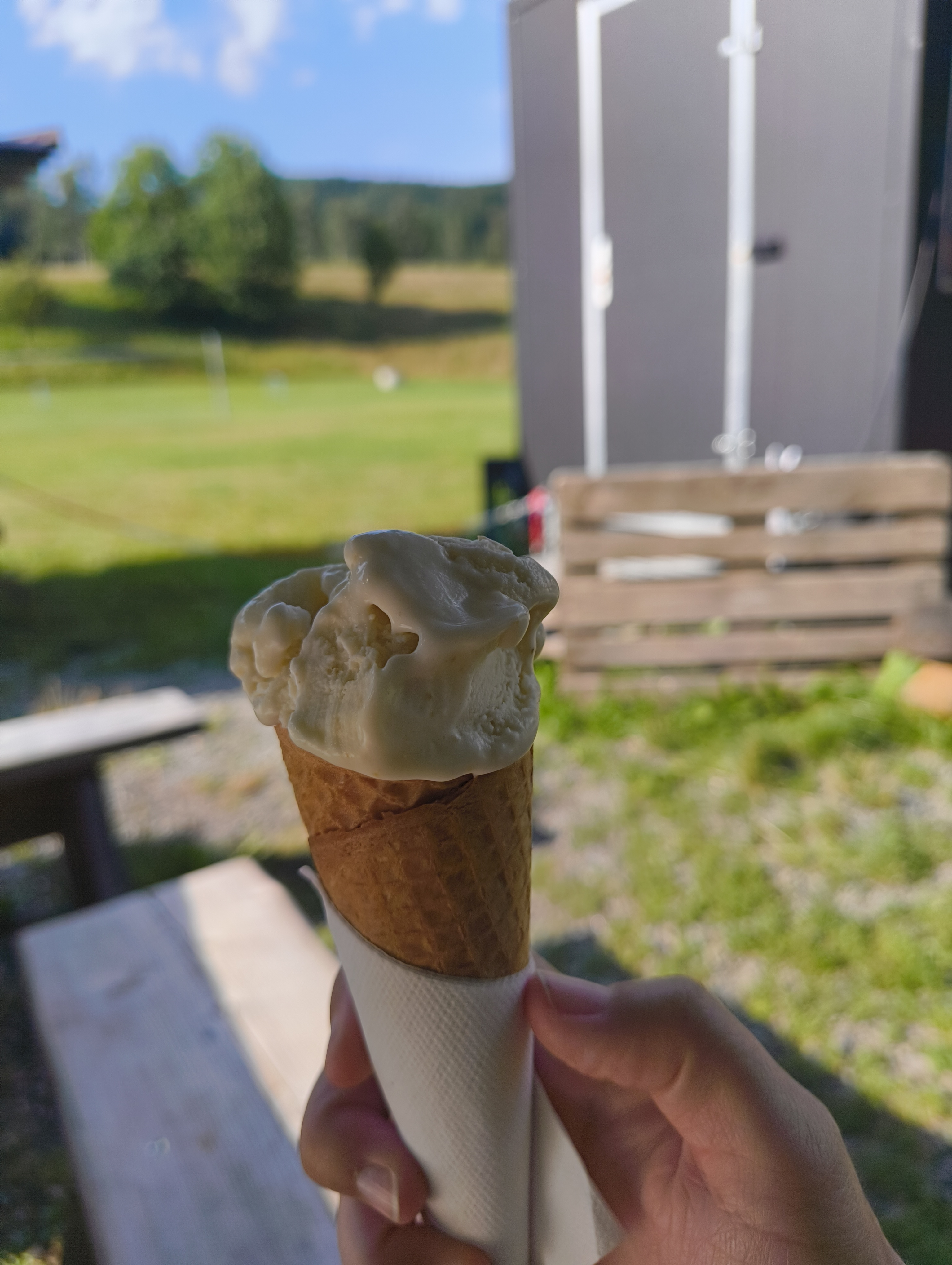 Gelato Pod Lesním Barem foto 3