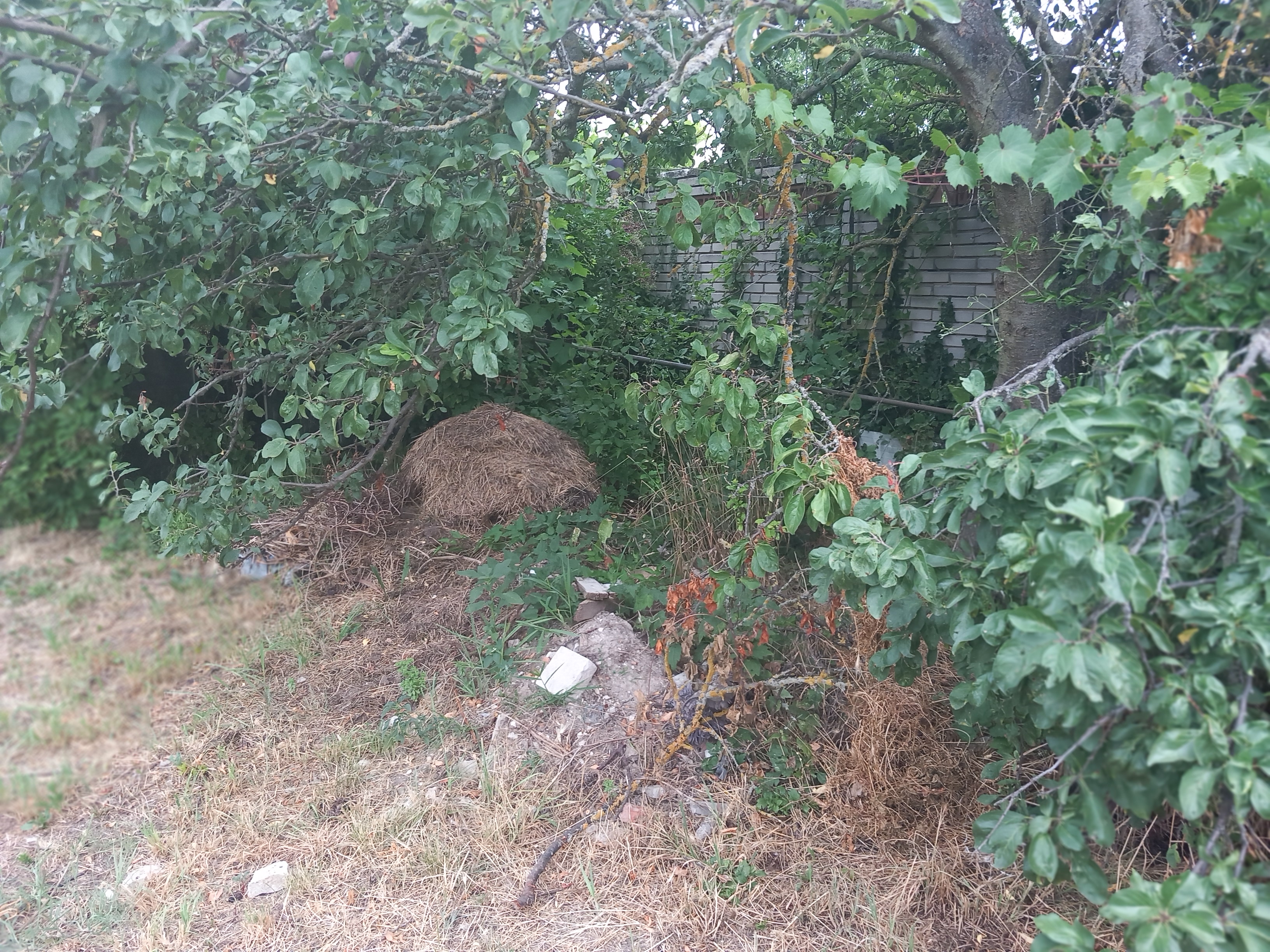 Sluneční villa Terezka foto 6