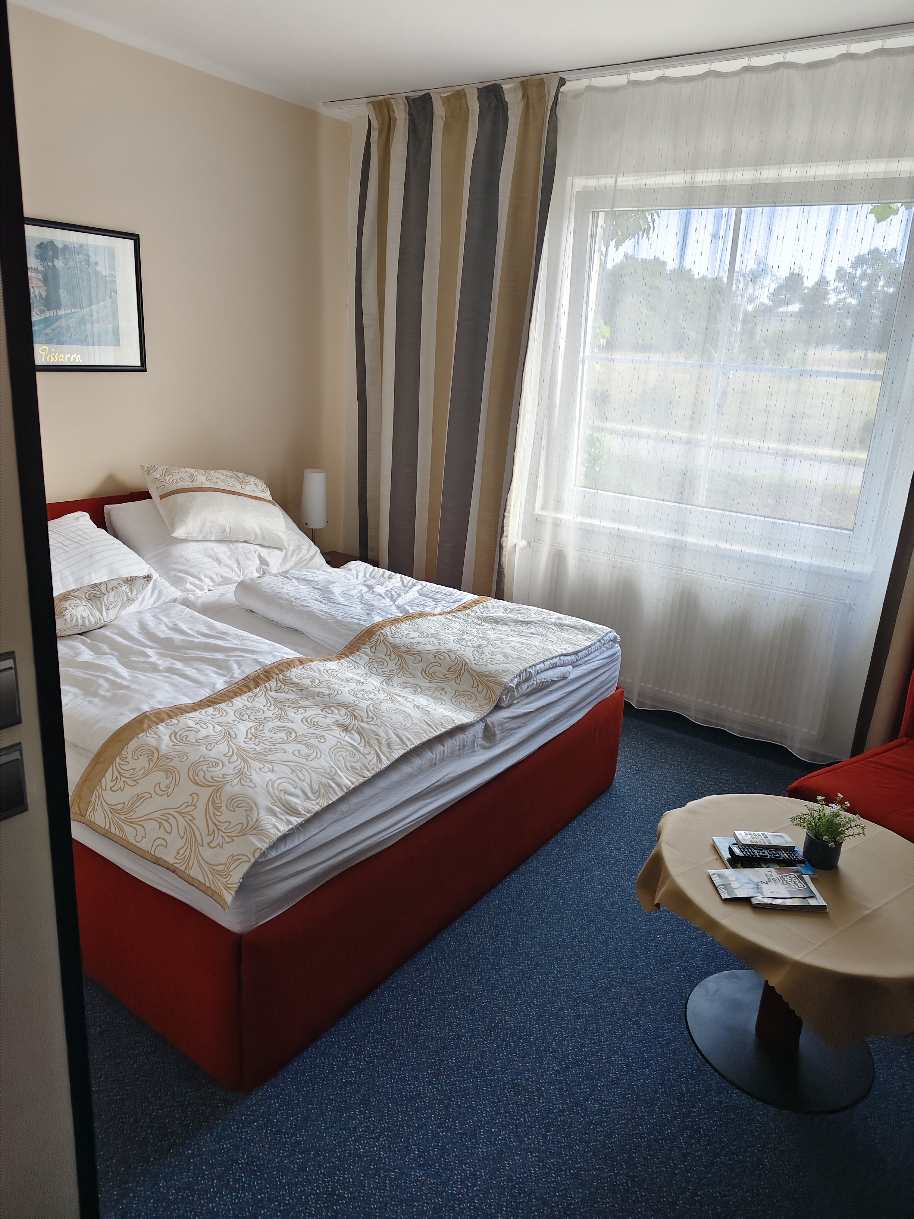 Hotel Synot foto 6