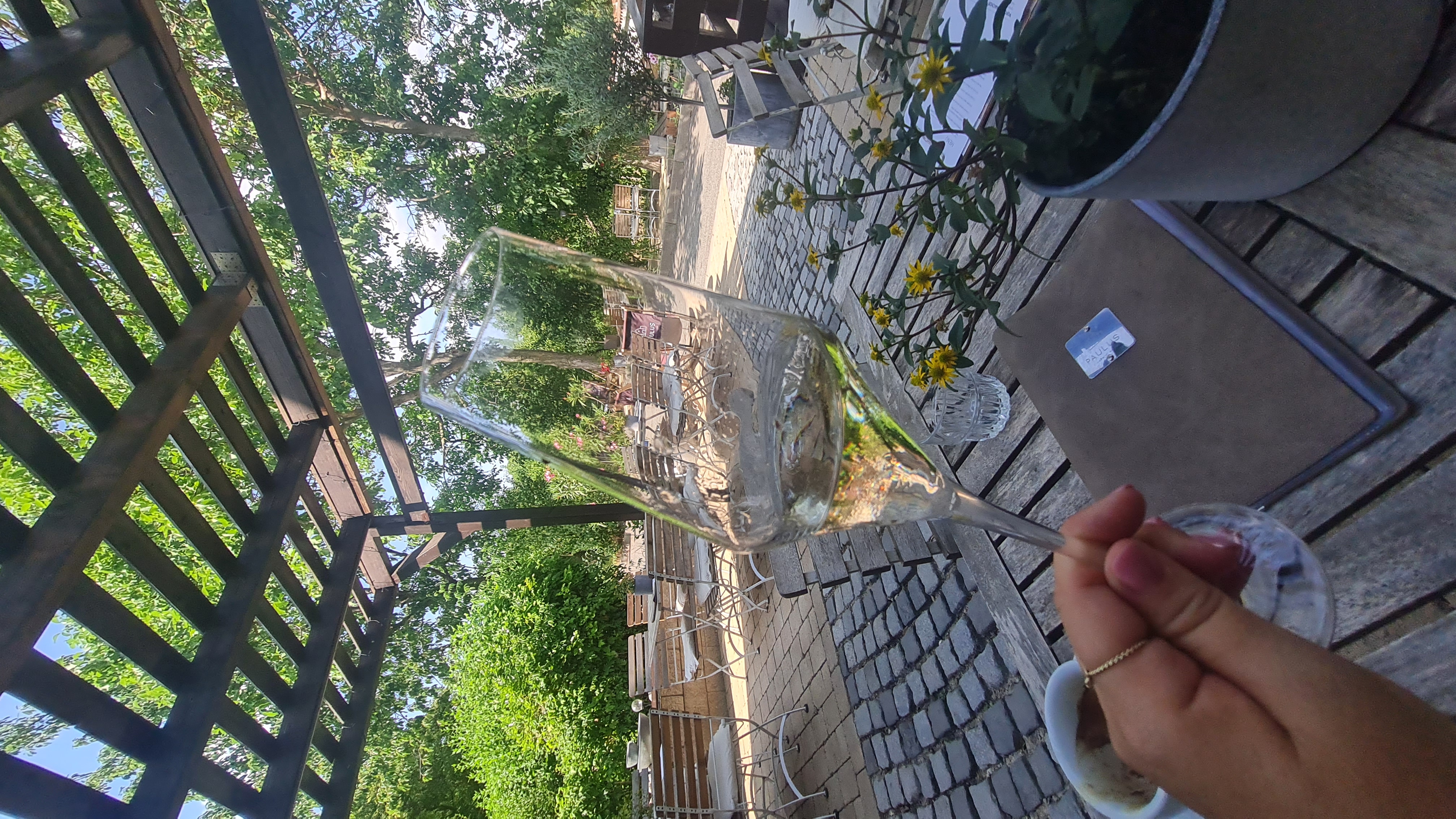 VINAŘSTVÍ PAULUS foto 2