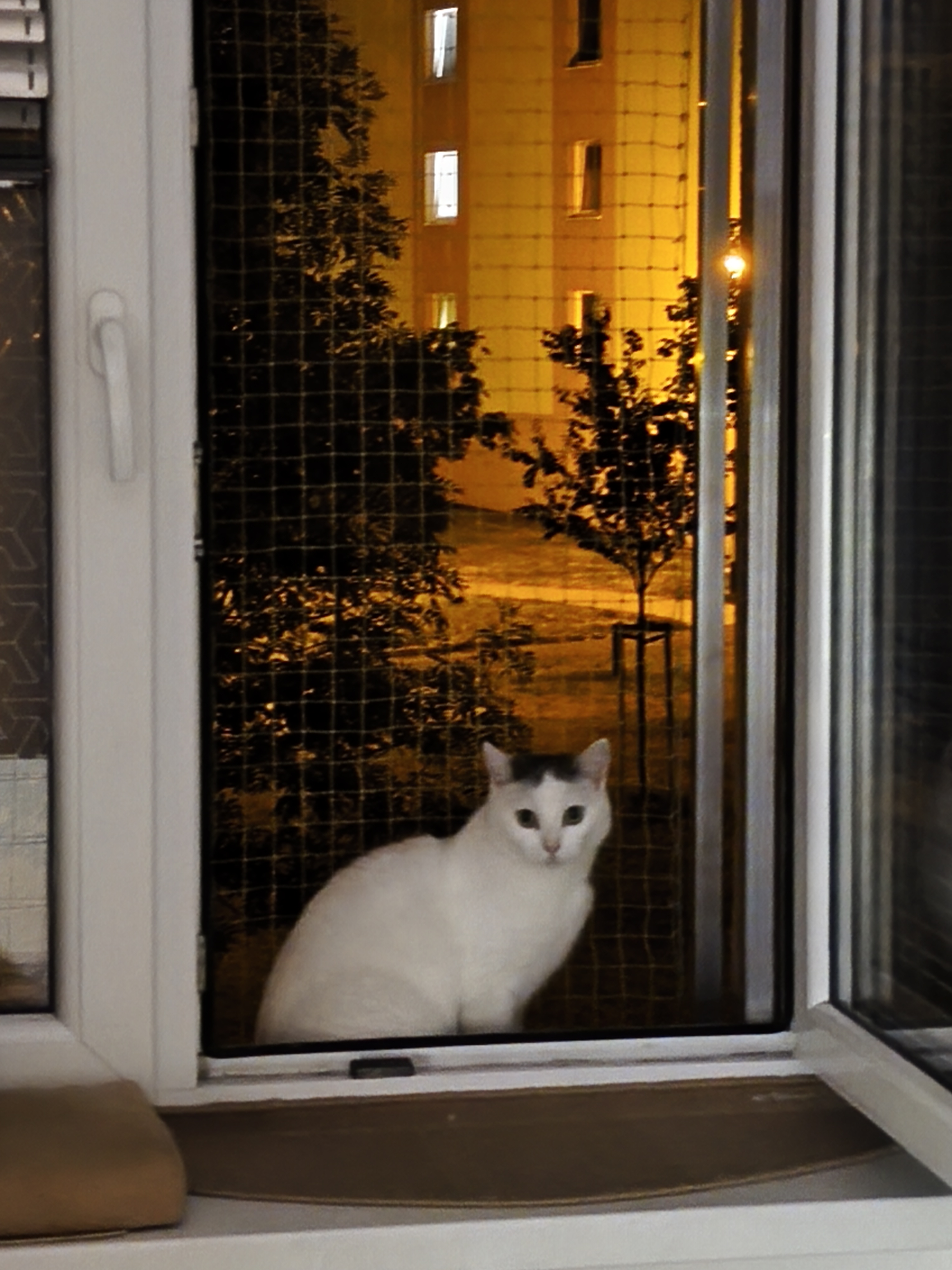 Ochranné Zasíťování foto 4