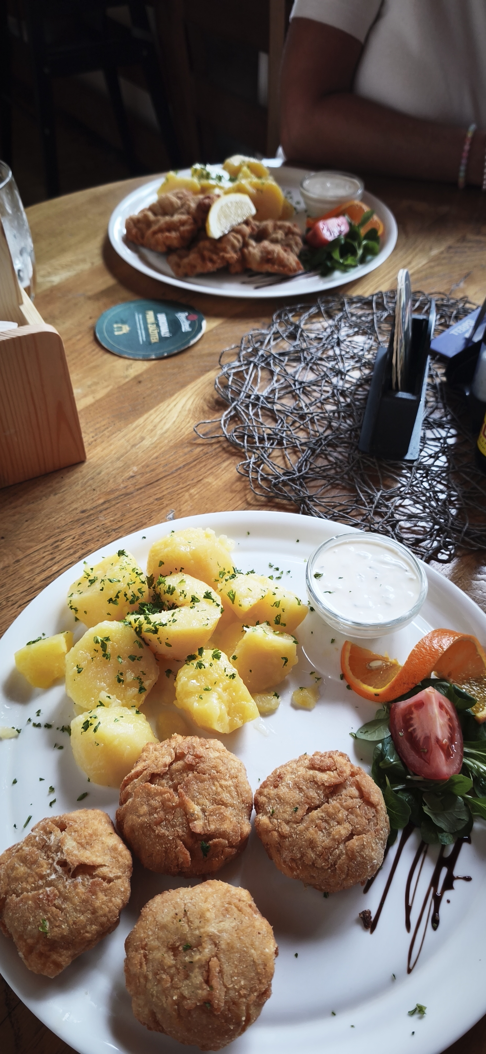 Beskydská řízkárna foto 1