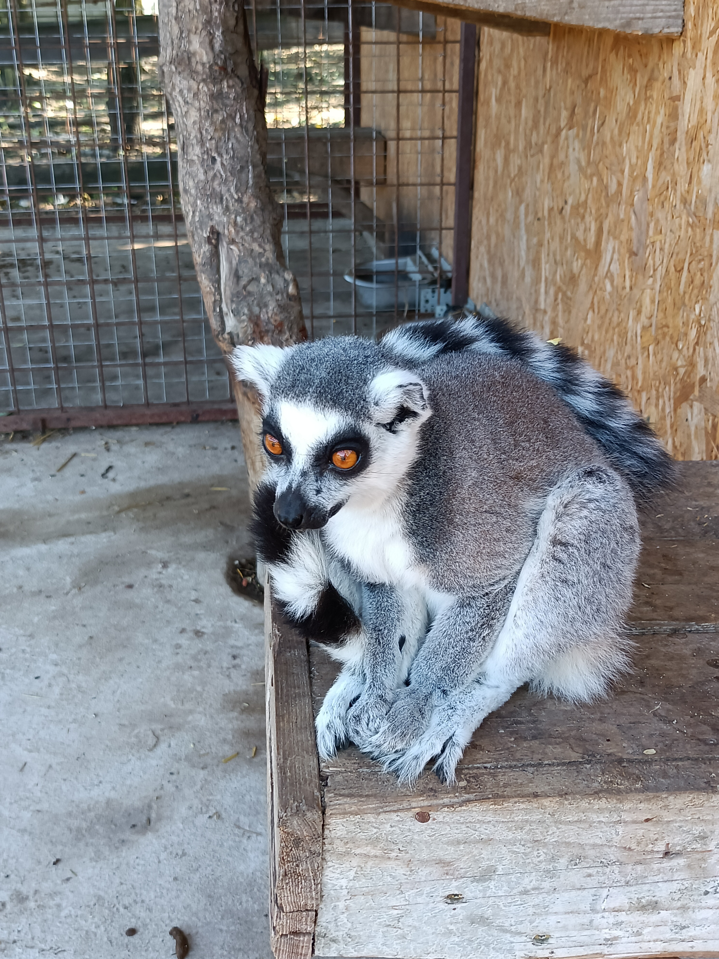 Zoopark Bohatice foto 2