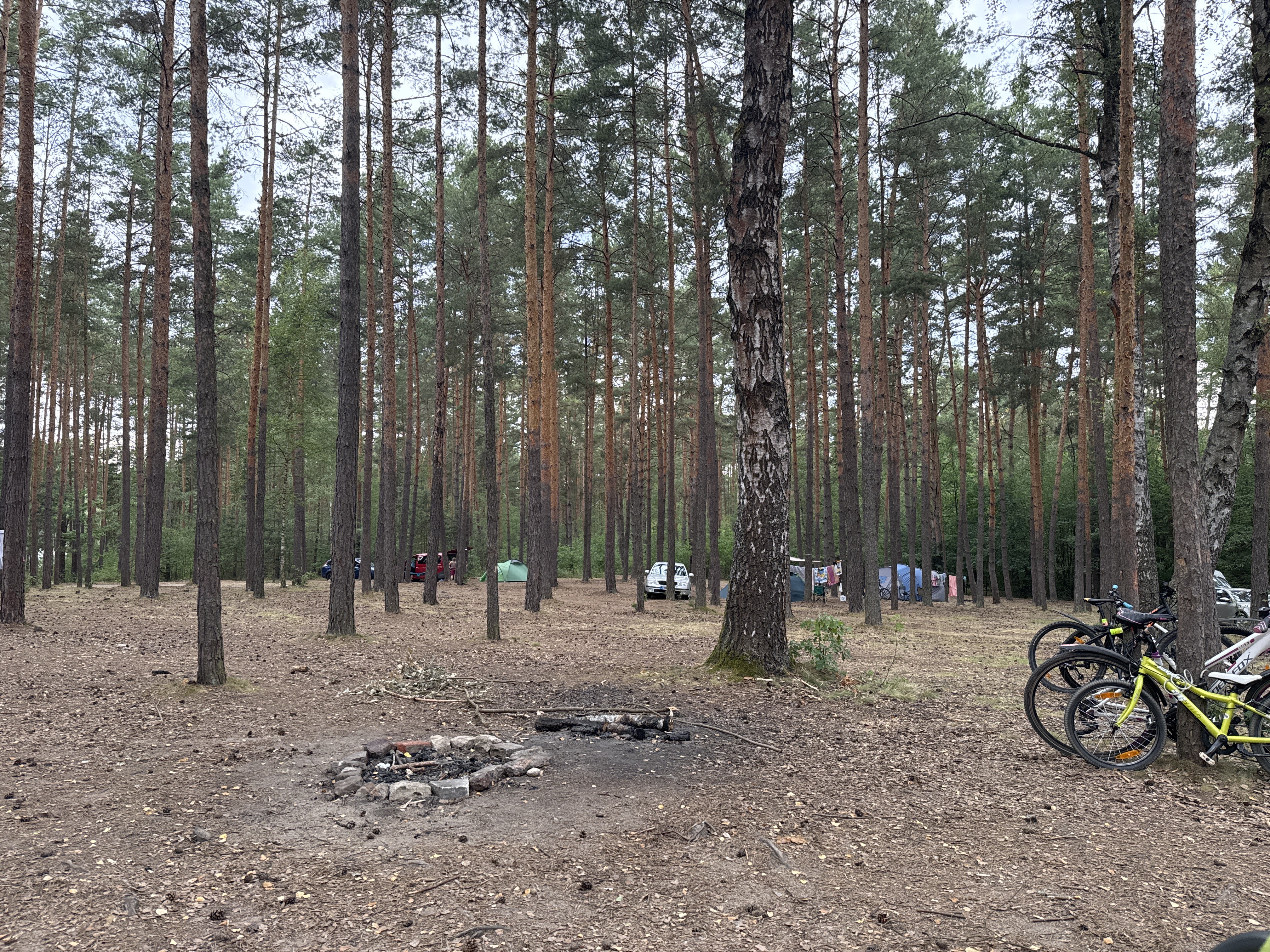 Camp Paris foto 5