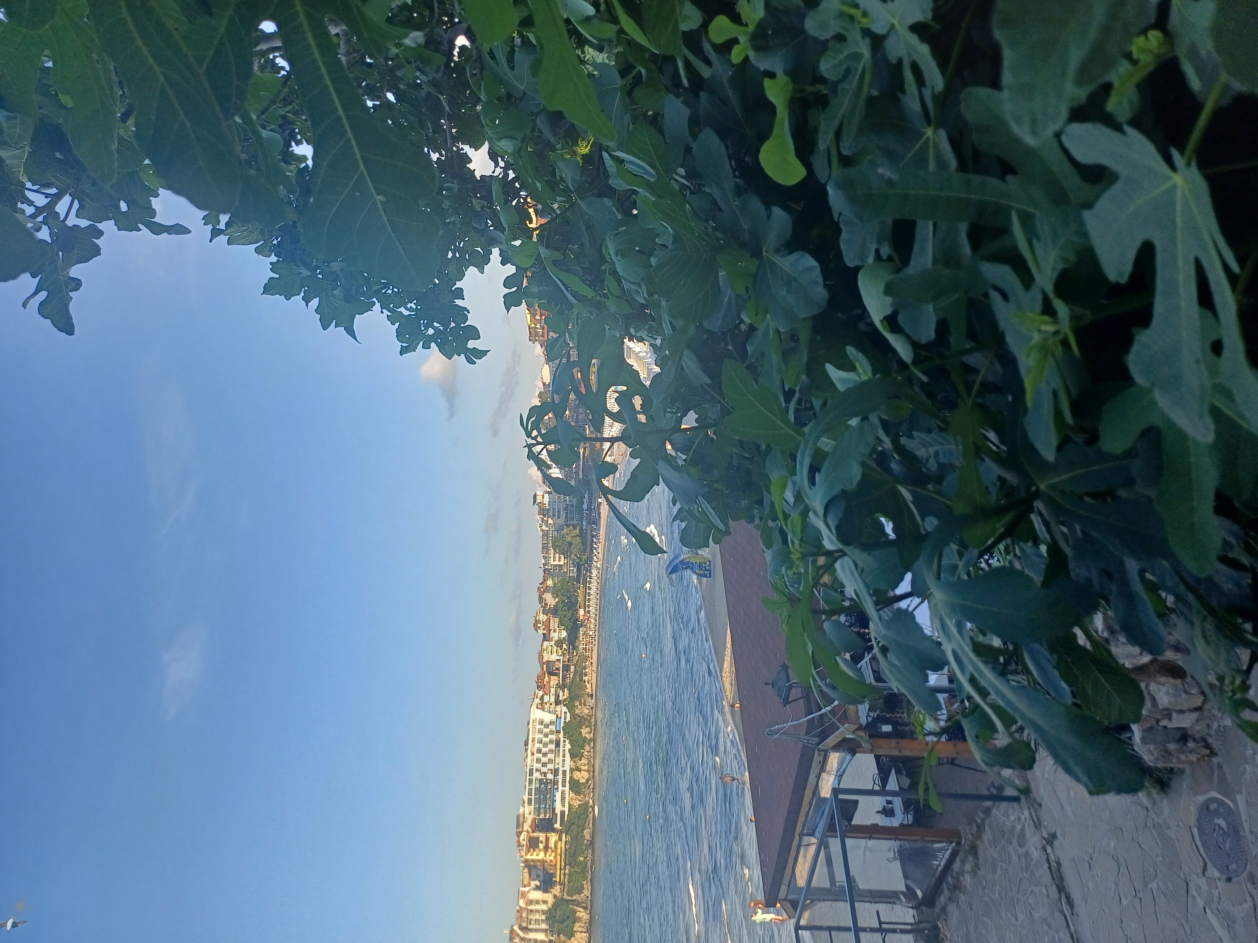 ALEXANDRIA, cestovní kancelář foto 1
