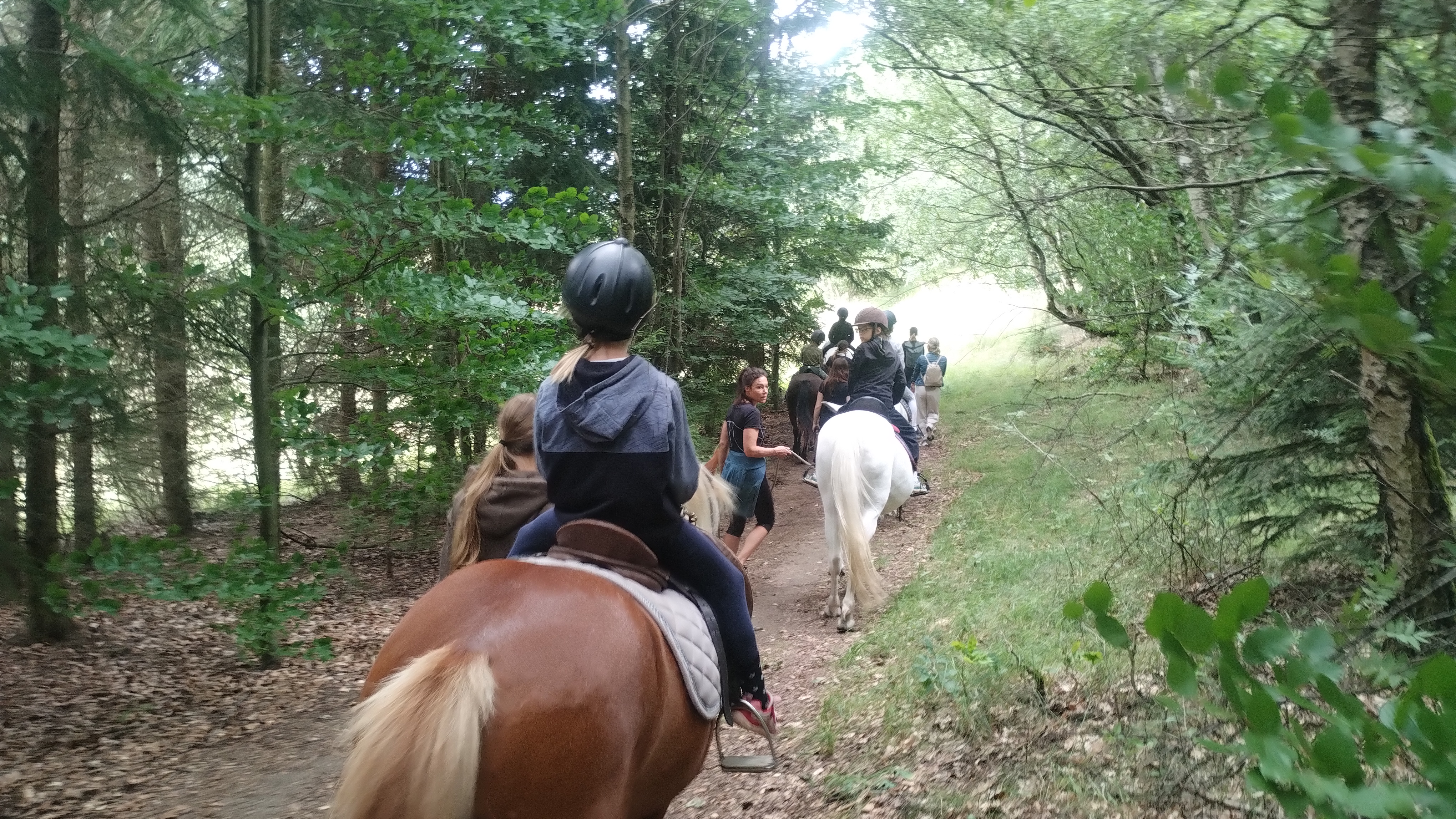 Pony Ranch Proseč nad Nisou foto 4