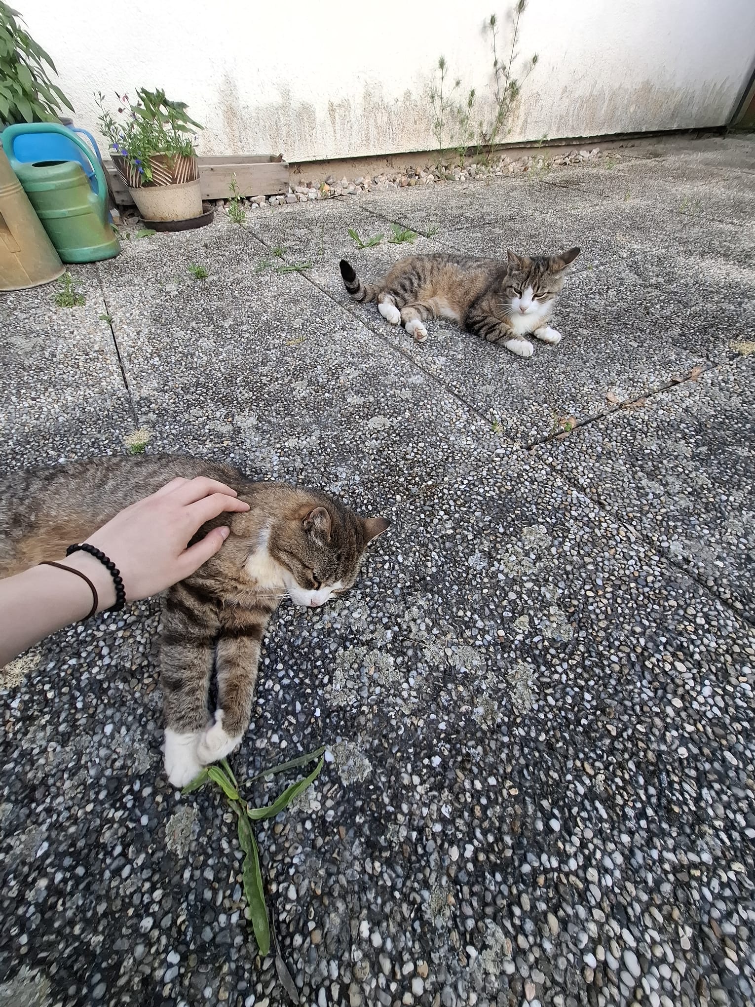 Podchlumský mlýn foto 1