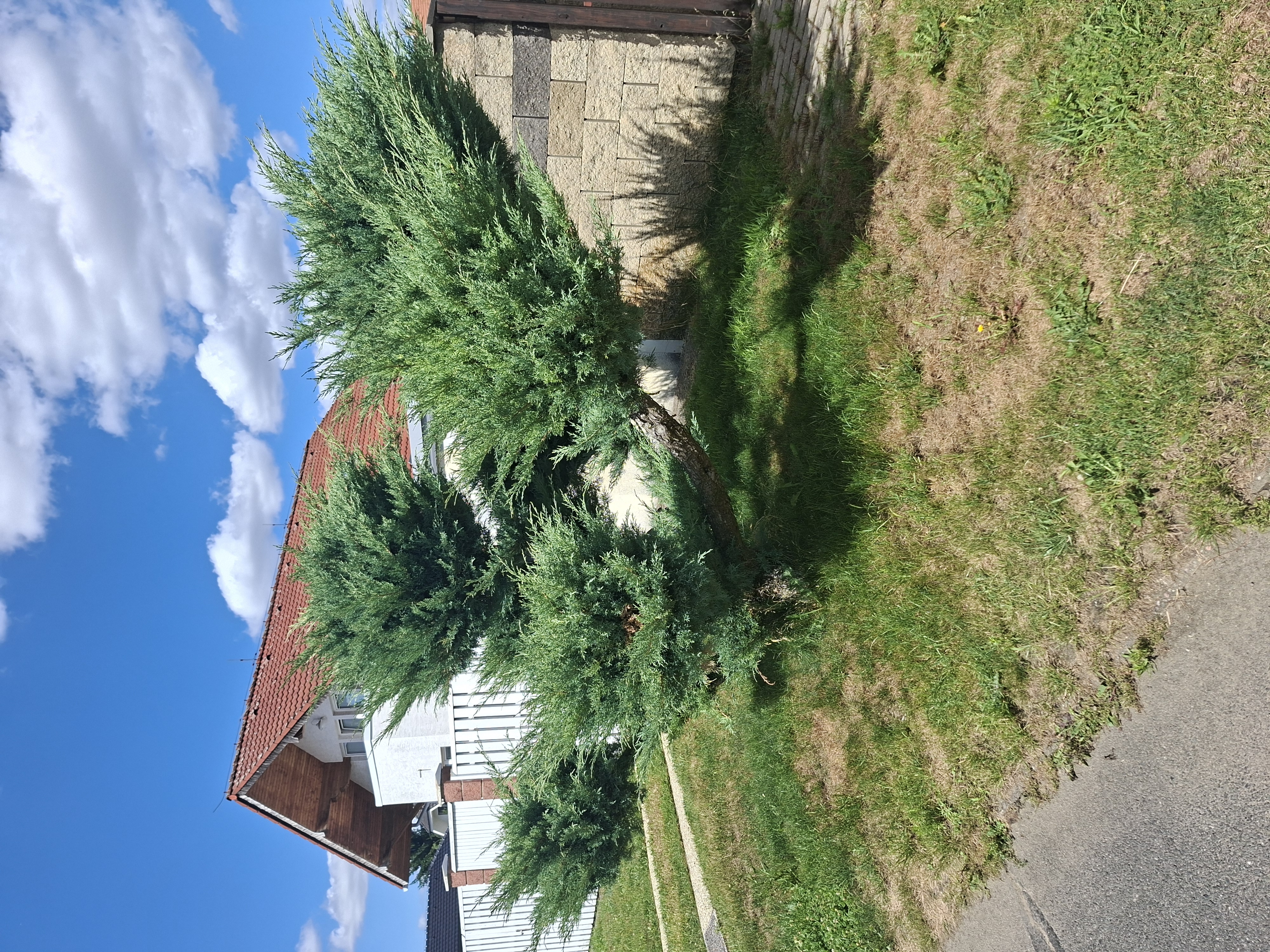 Zahradní Kuna foto 5