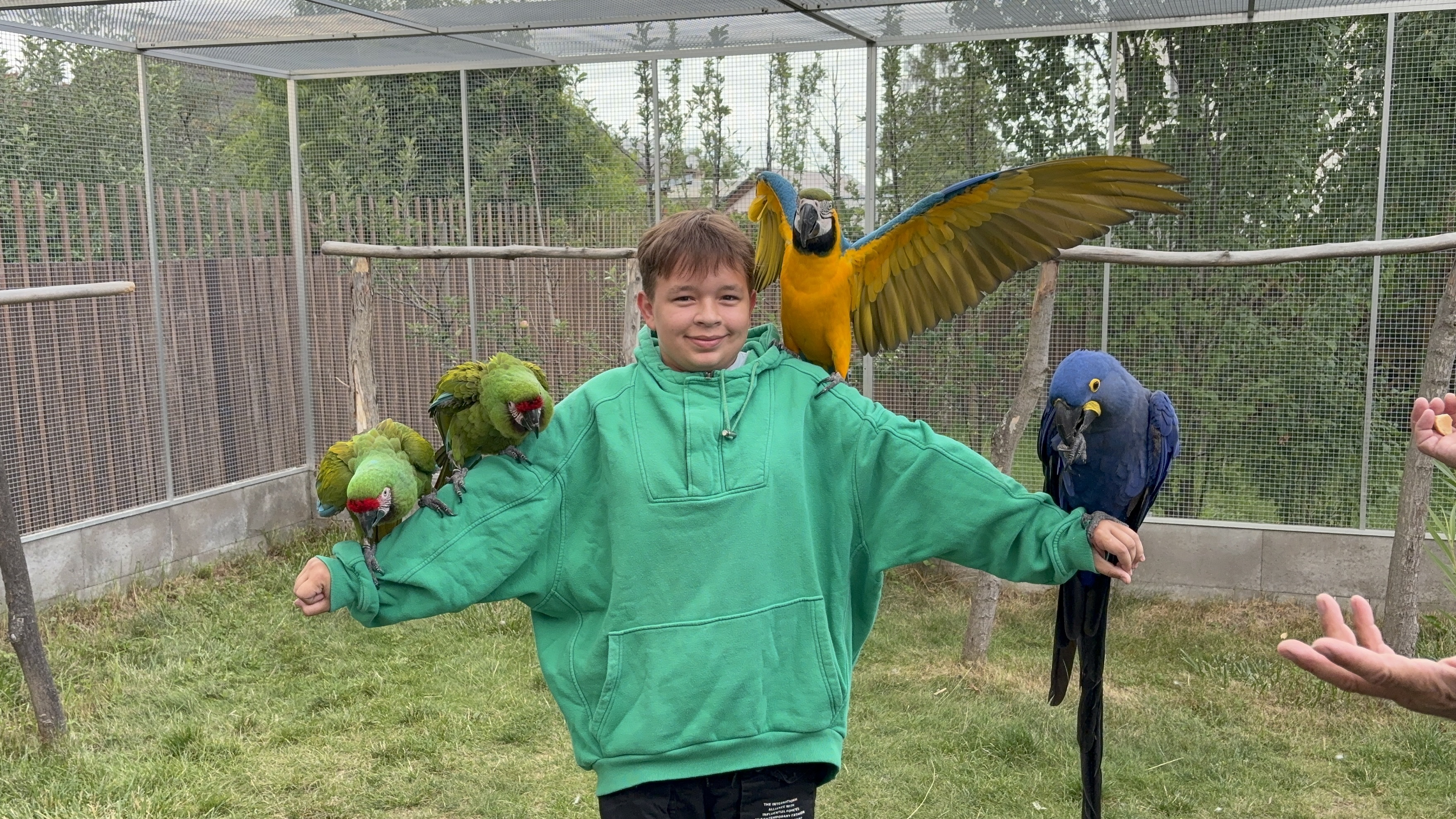 Království papoušků foto 5