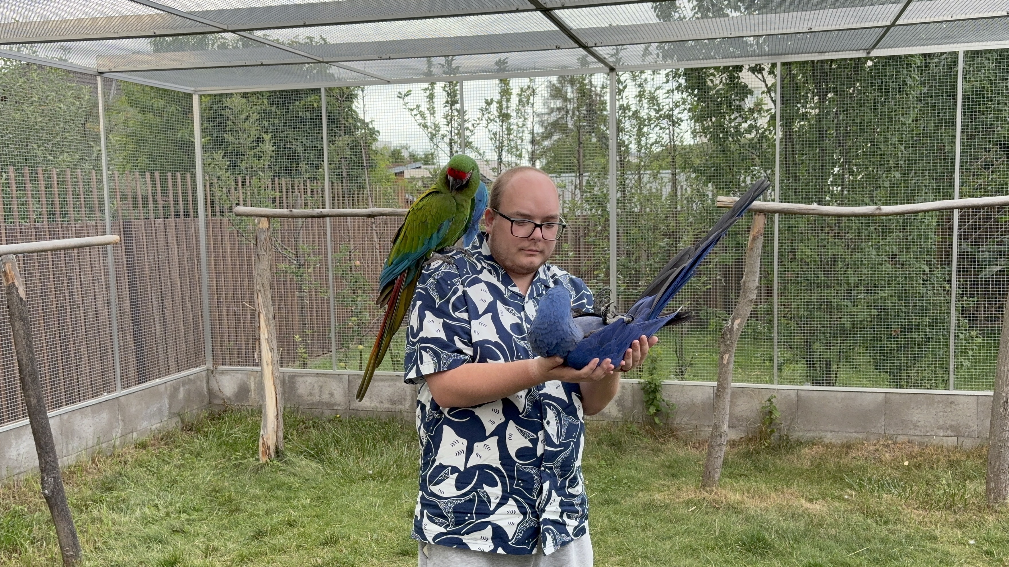 Království papoušků foto 6
