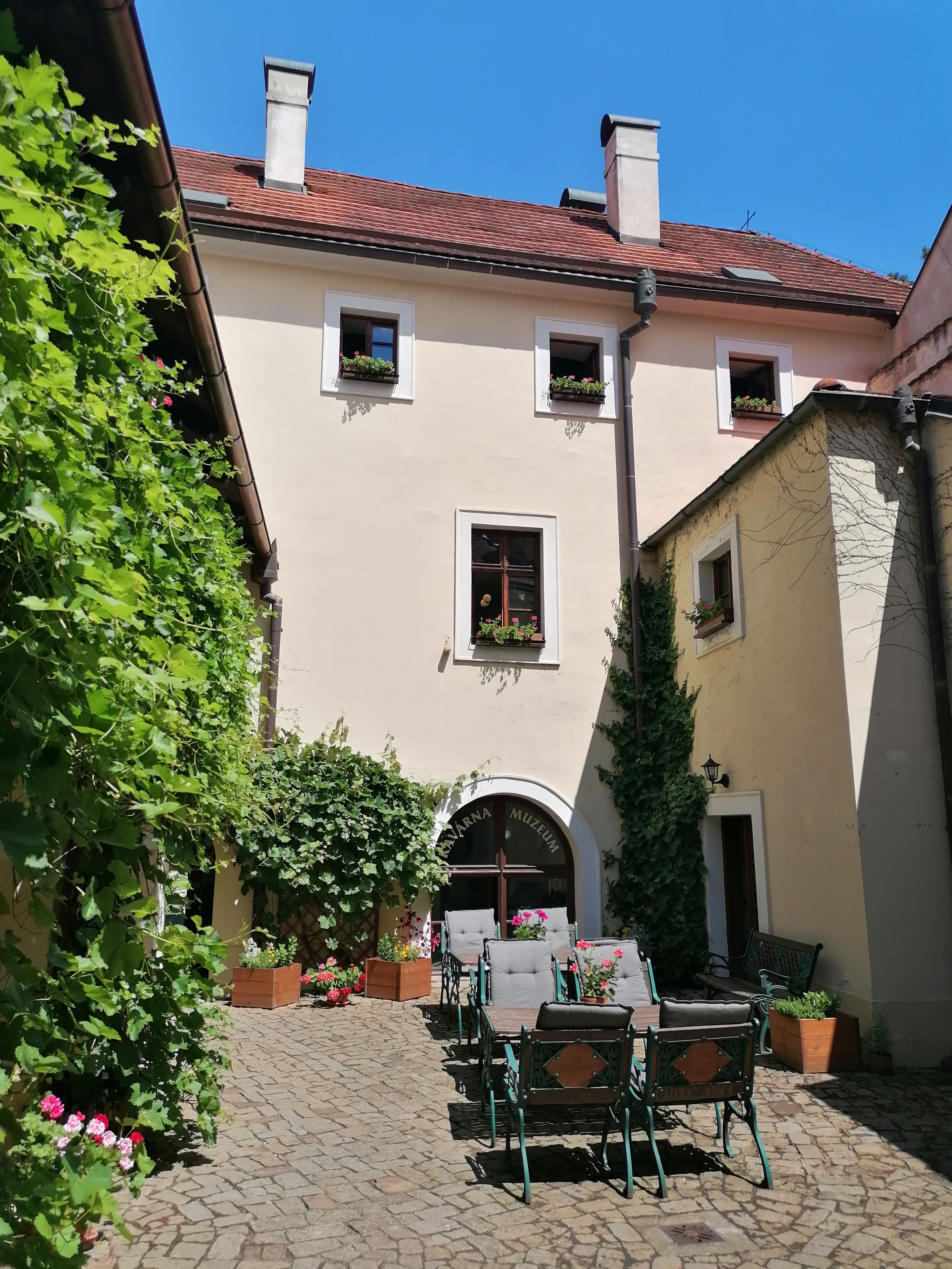 Regionální muzeum Mělník - kavárna foto 4