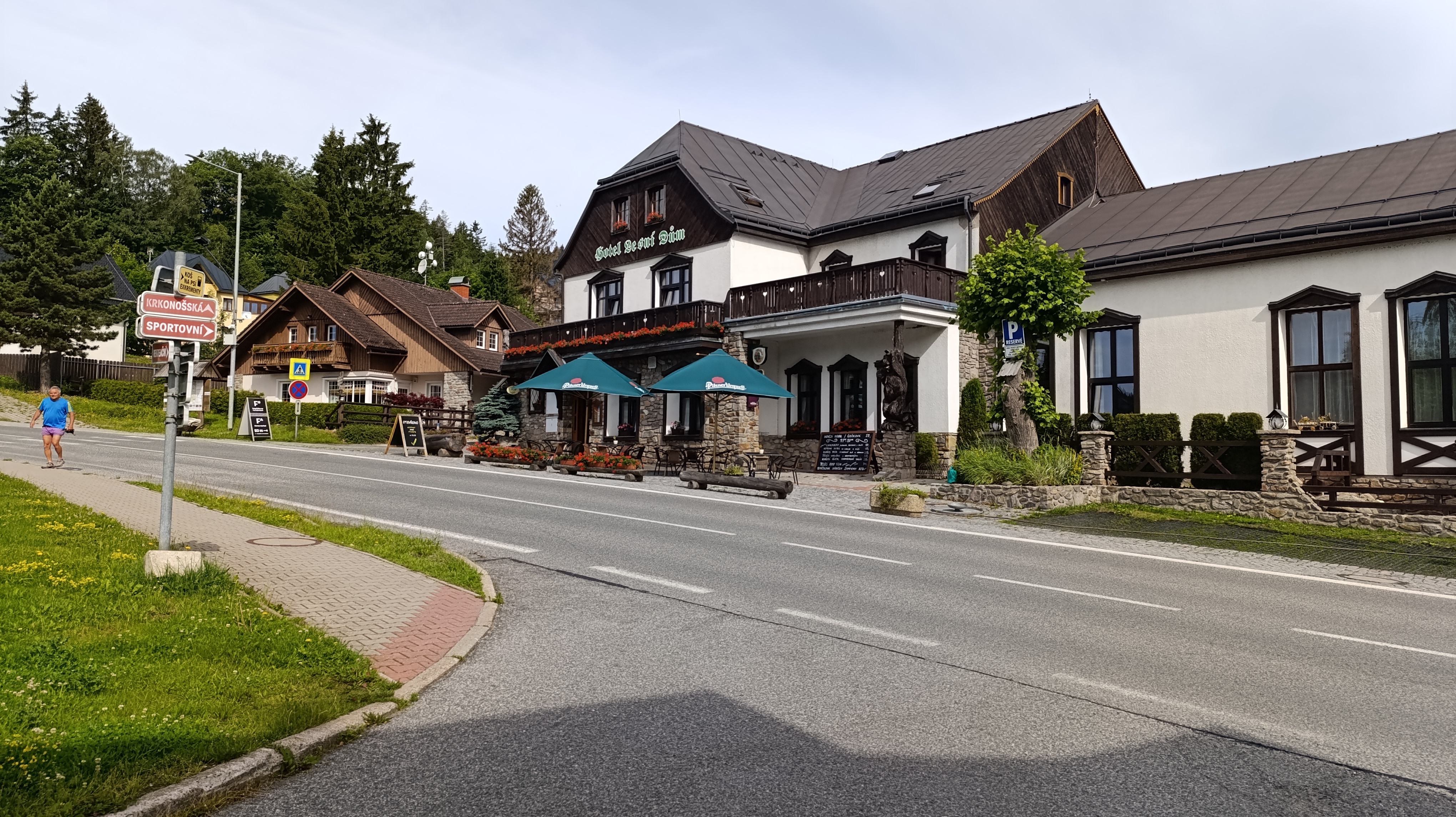 Hotel Lesní dům Janské Lázně foto 2