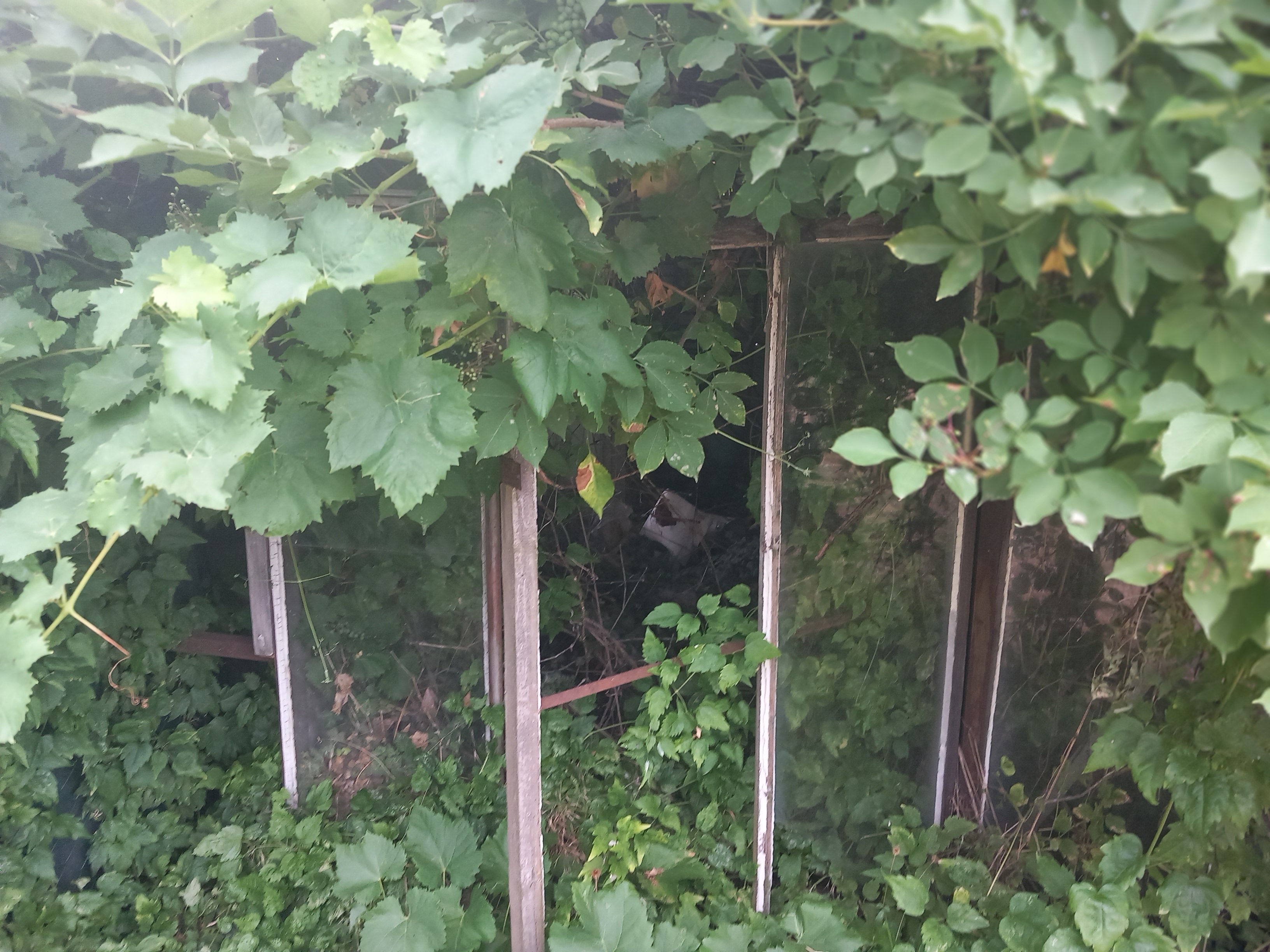 Sluneční villa Terezka foto 5