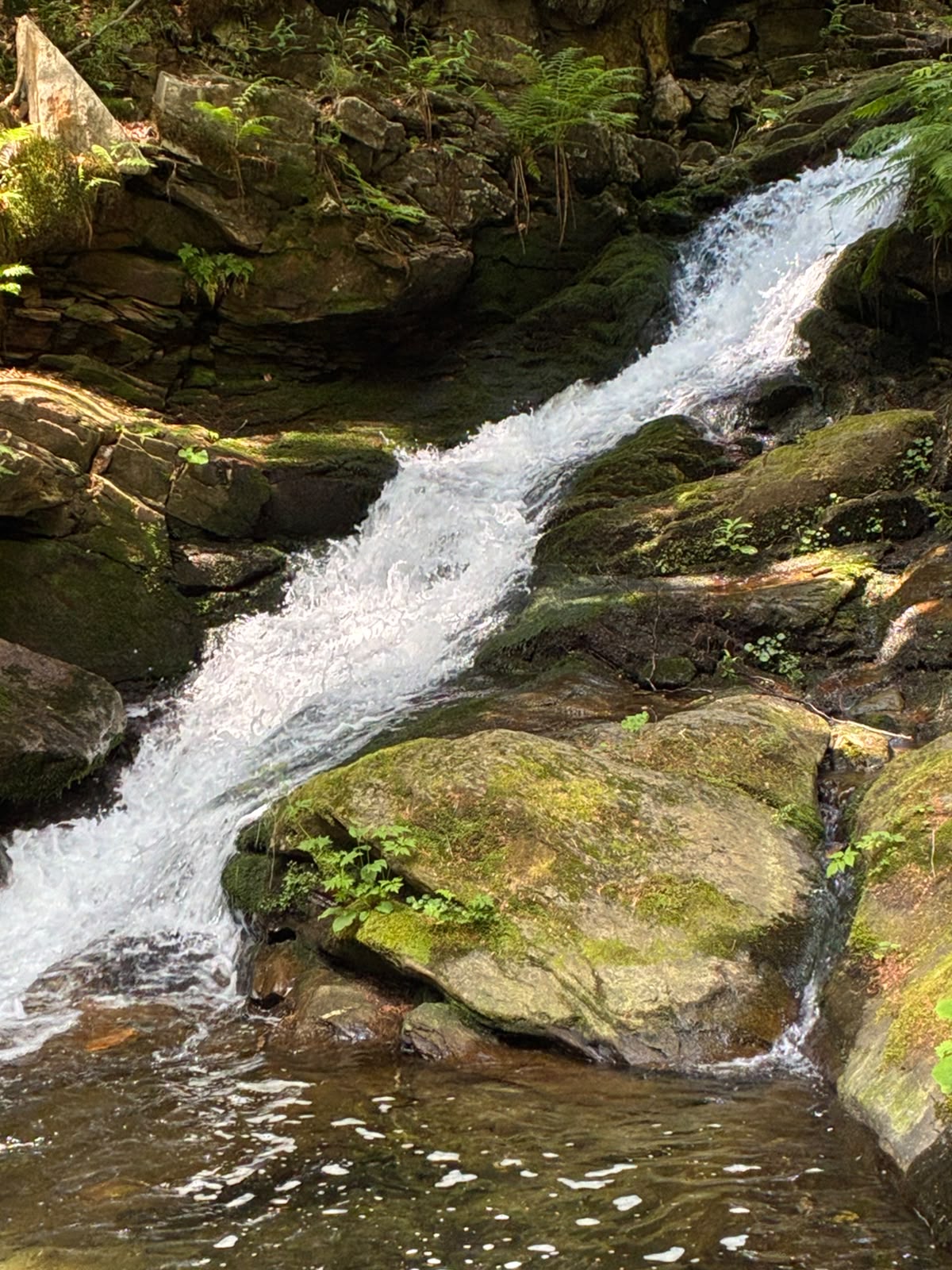 HUBERTUS Karlova Studánka foto 5