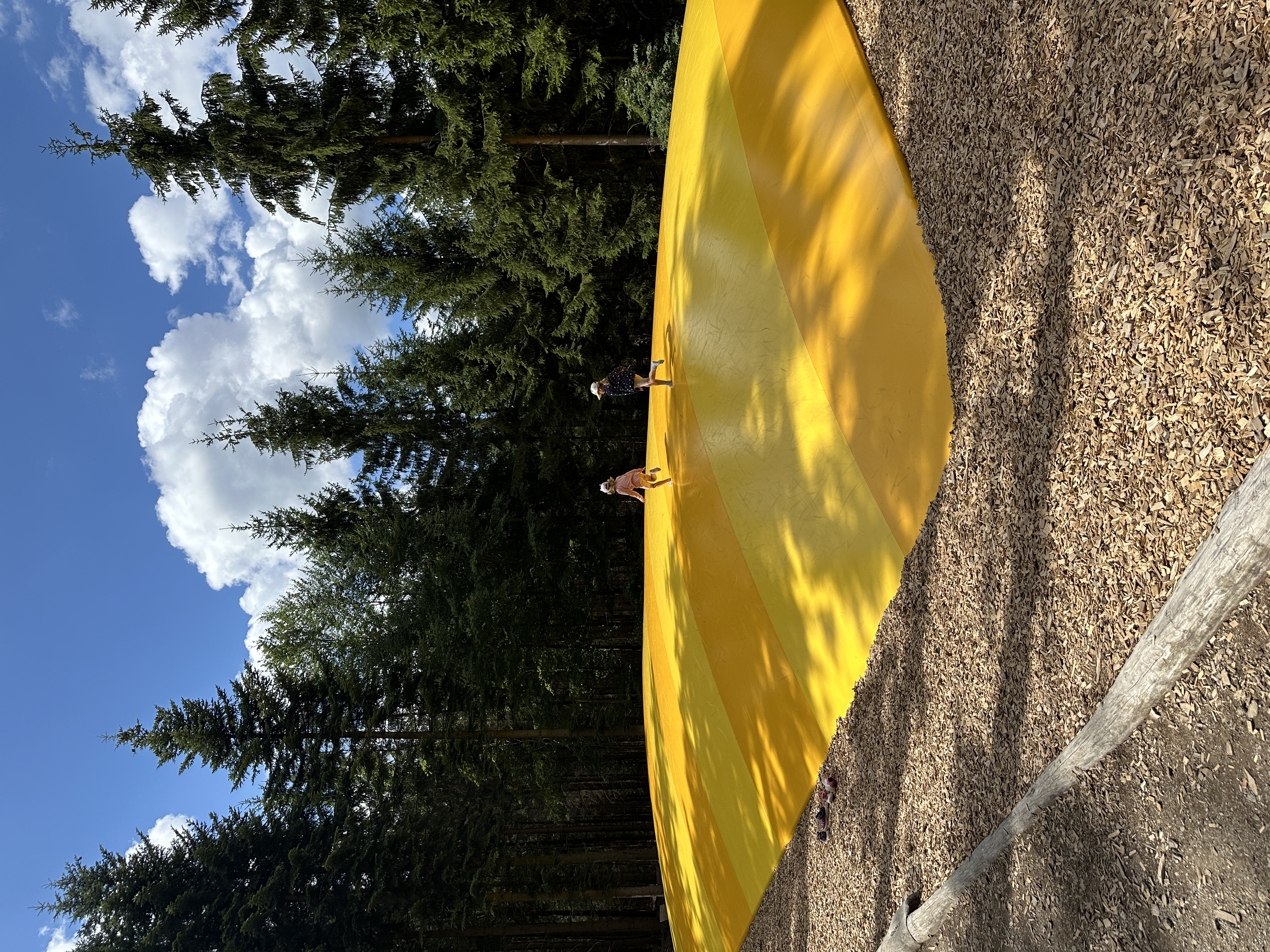 Království lesa Lipno foto 2