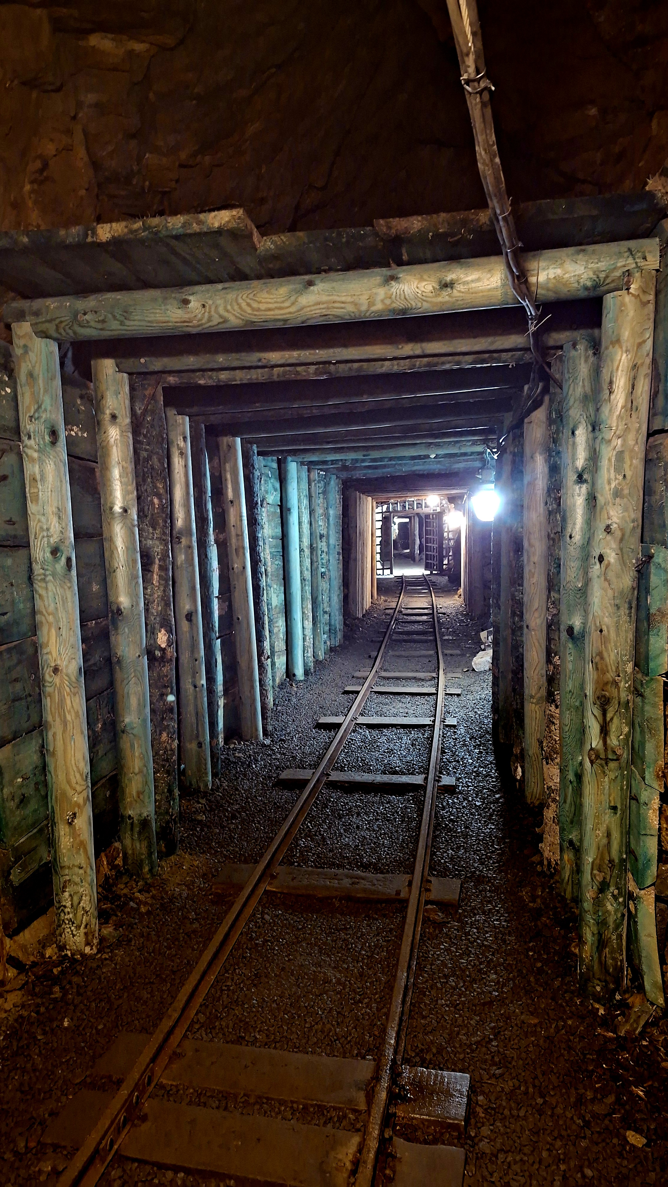 Muzeum Sokolov, Karlovarského kraje foto 5