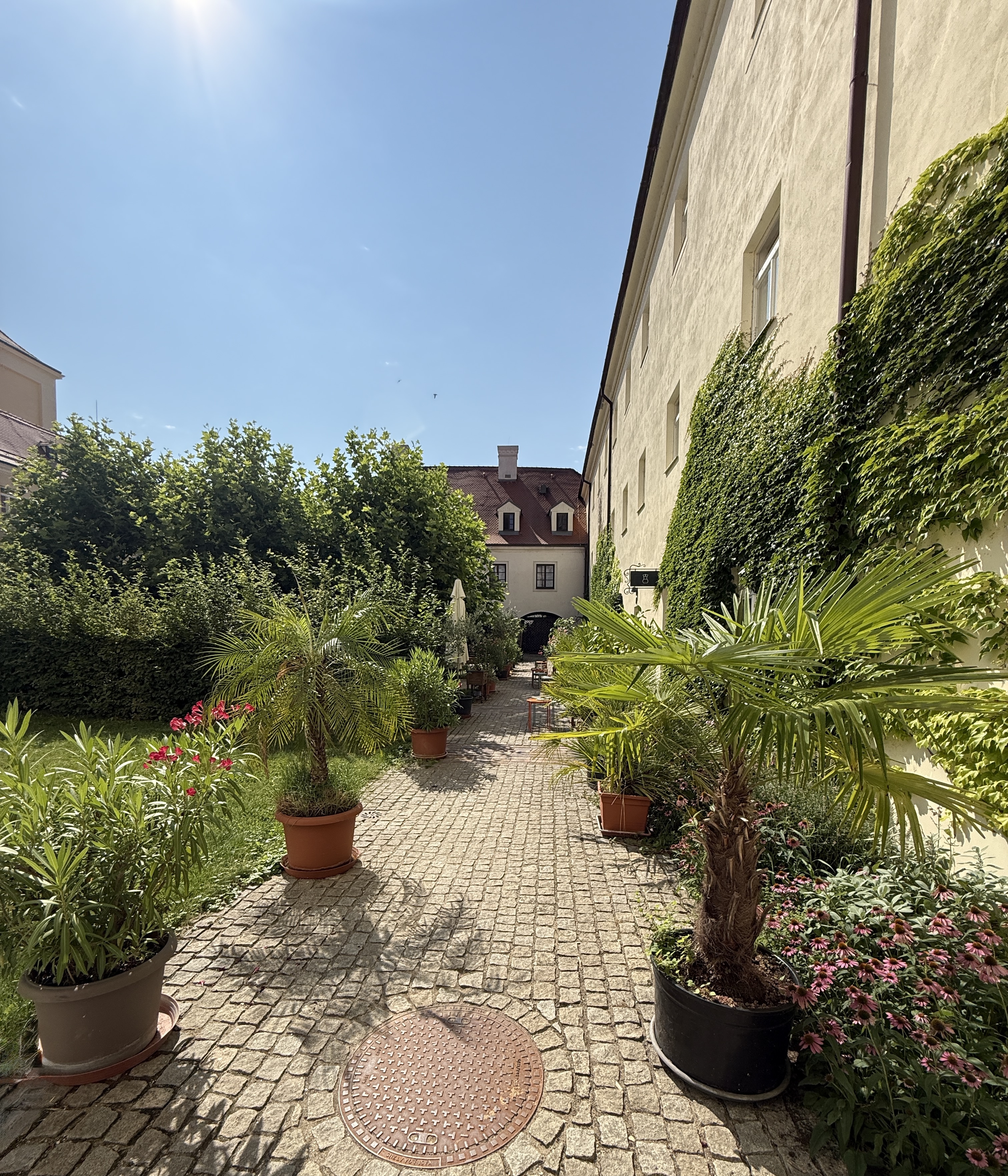 Hostina Valtice foto 3