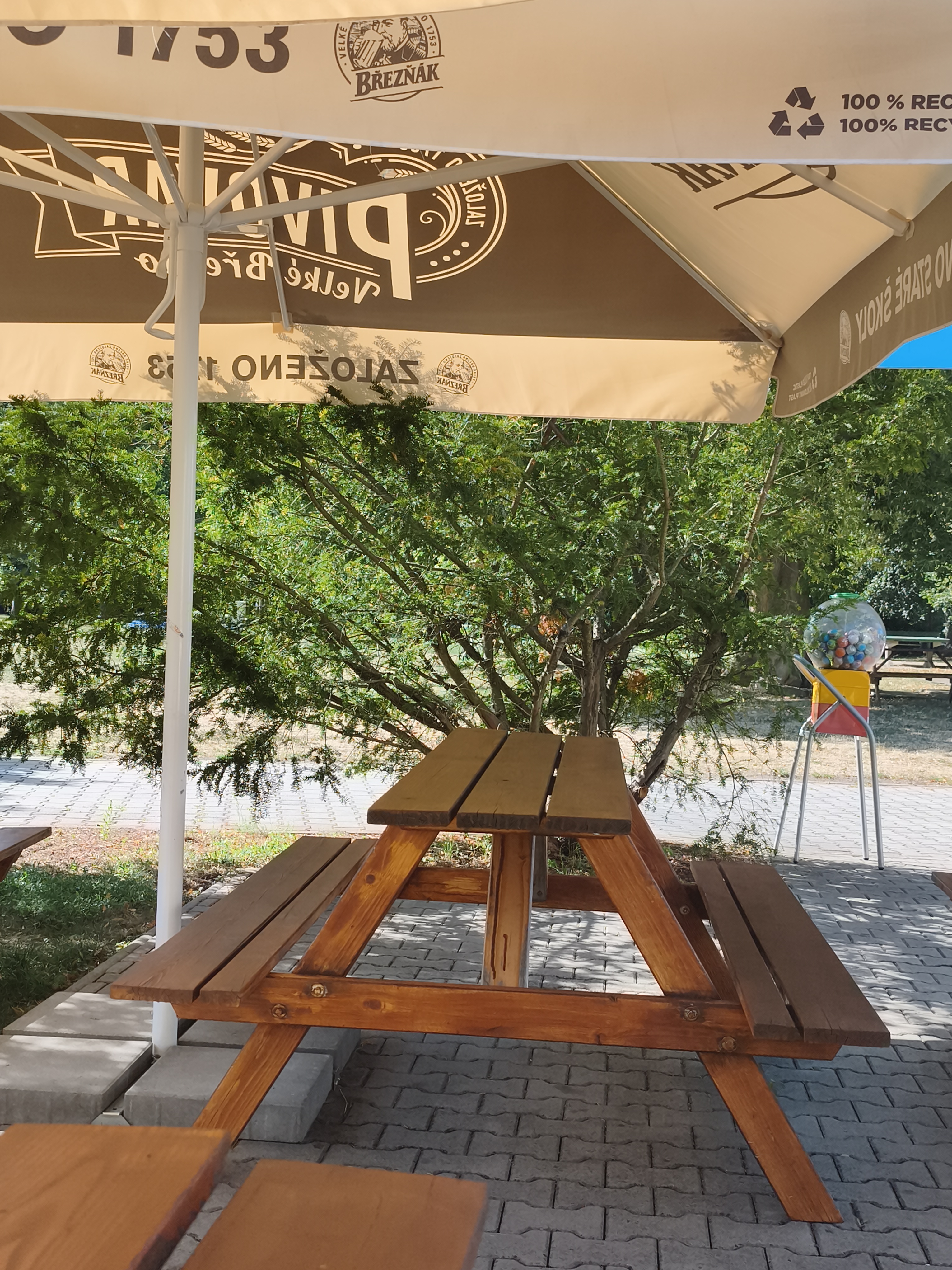 Koupaliště Lovosice foto 5