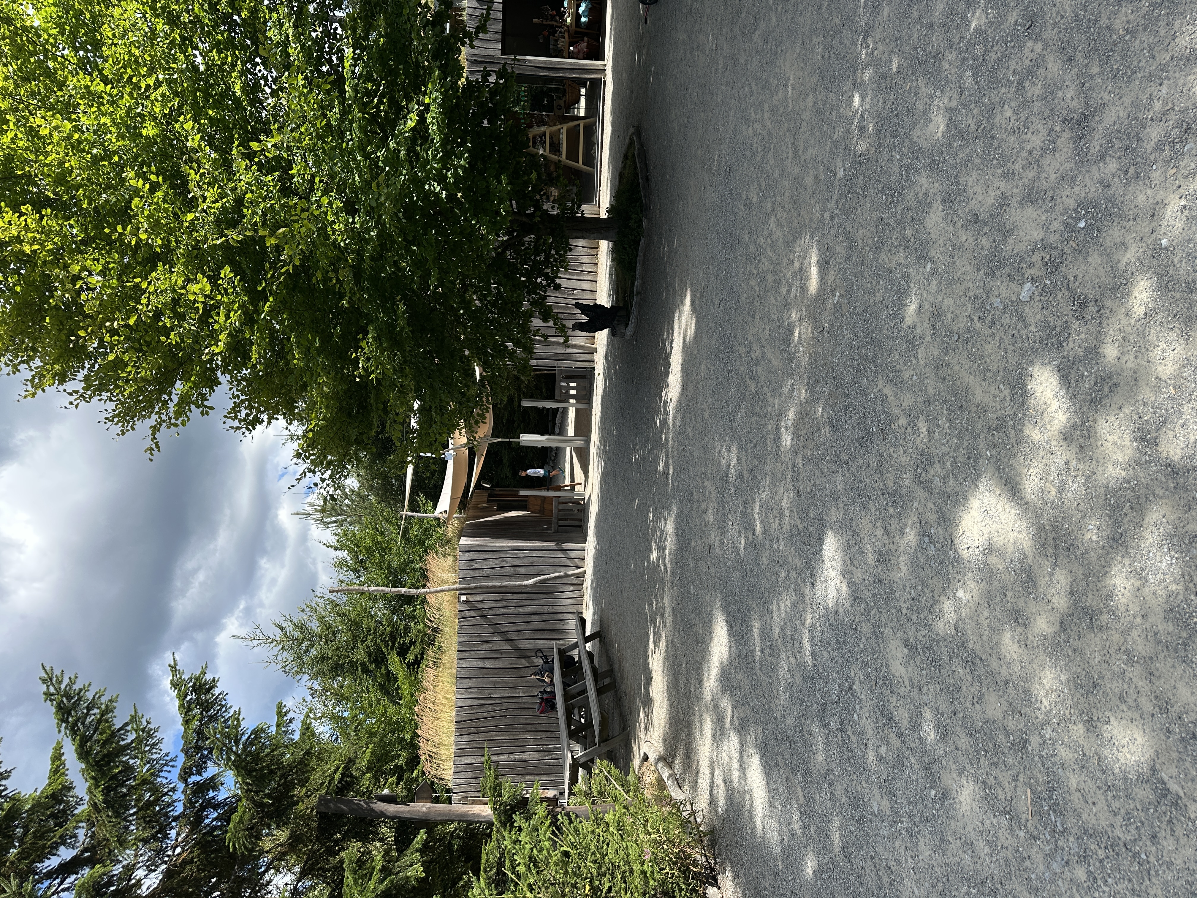 Království lesa Lipno foto 6