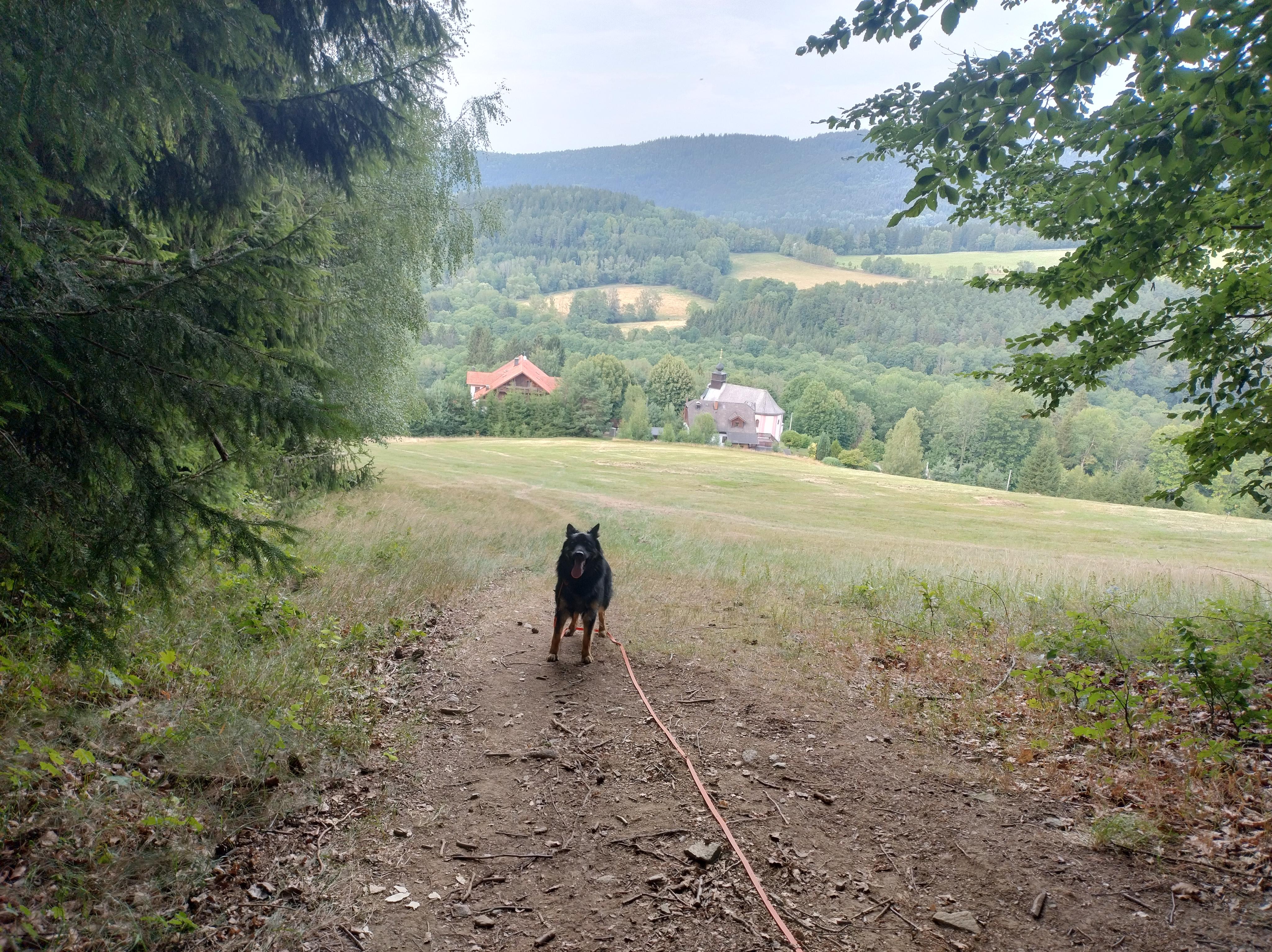Chata Světluška a kemp foto 3