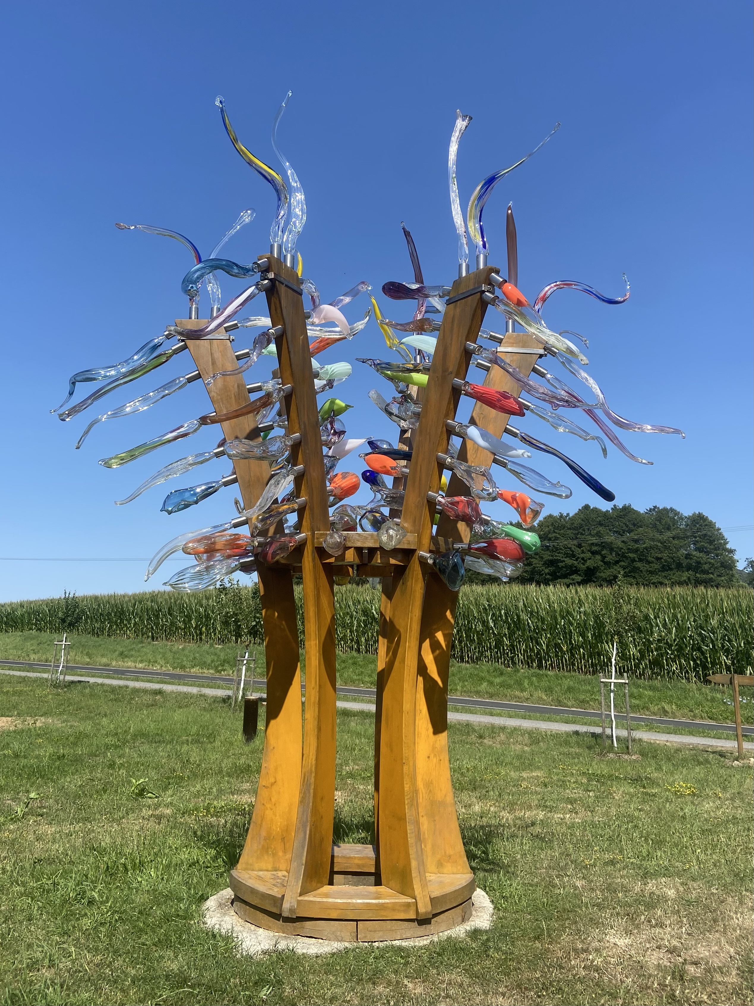 Disco Bílý Kámen foto 2