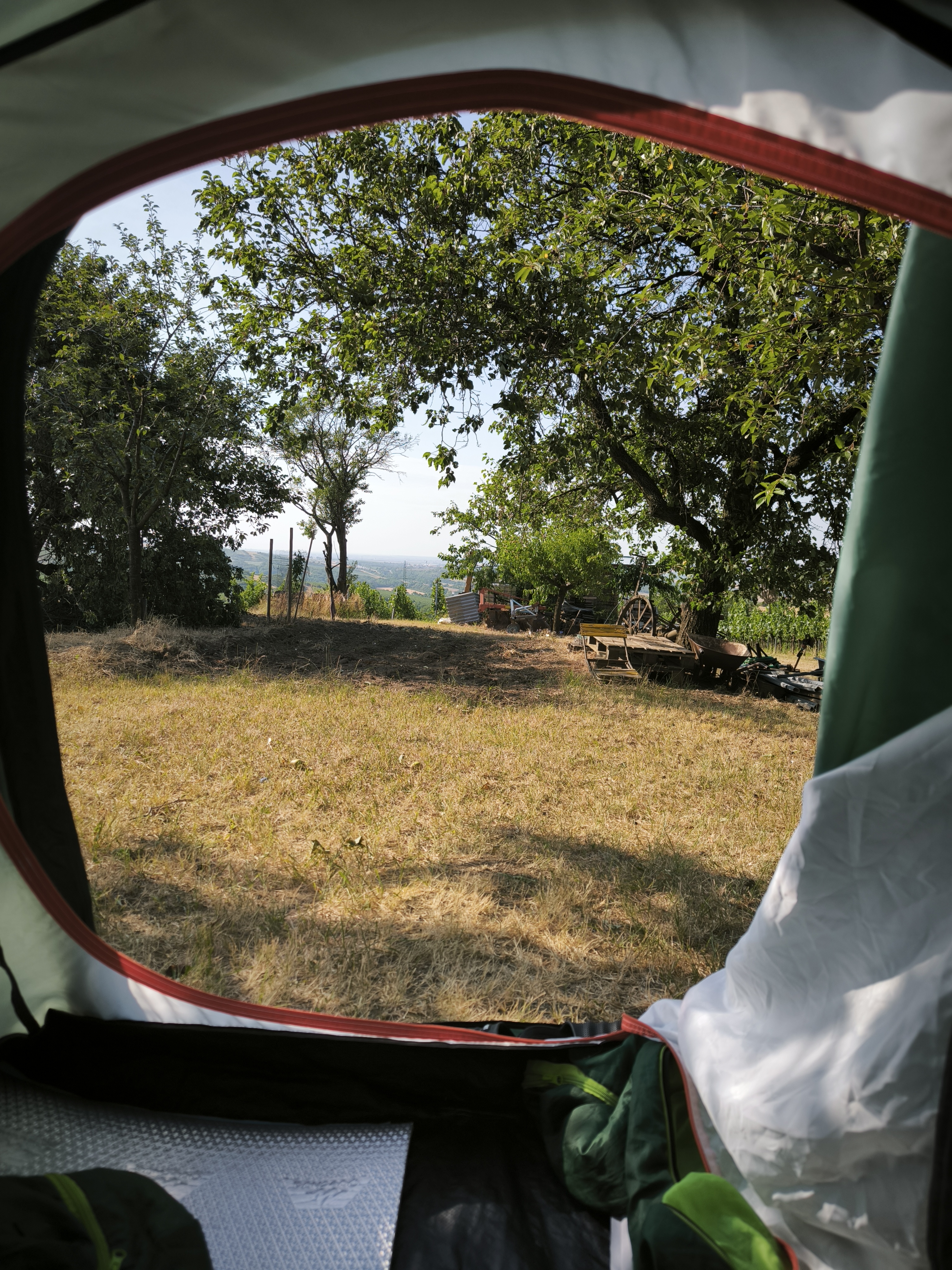 Vyhlídka mezi vinicemi v meruňkovém sadě foto 2