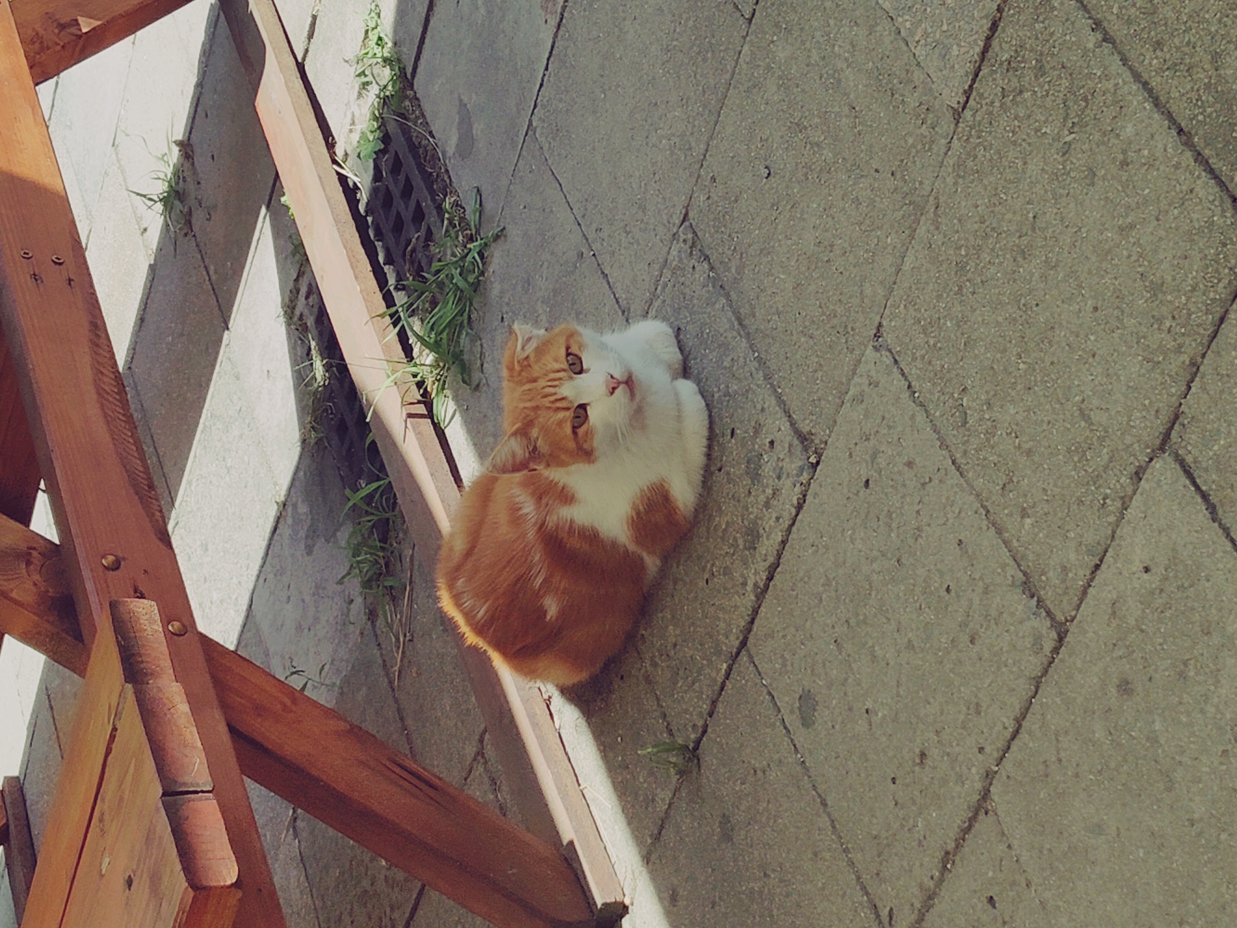 Pivnice u Kruháču foto 3