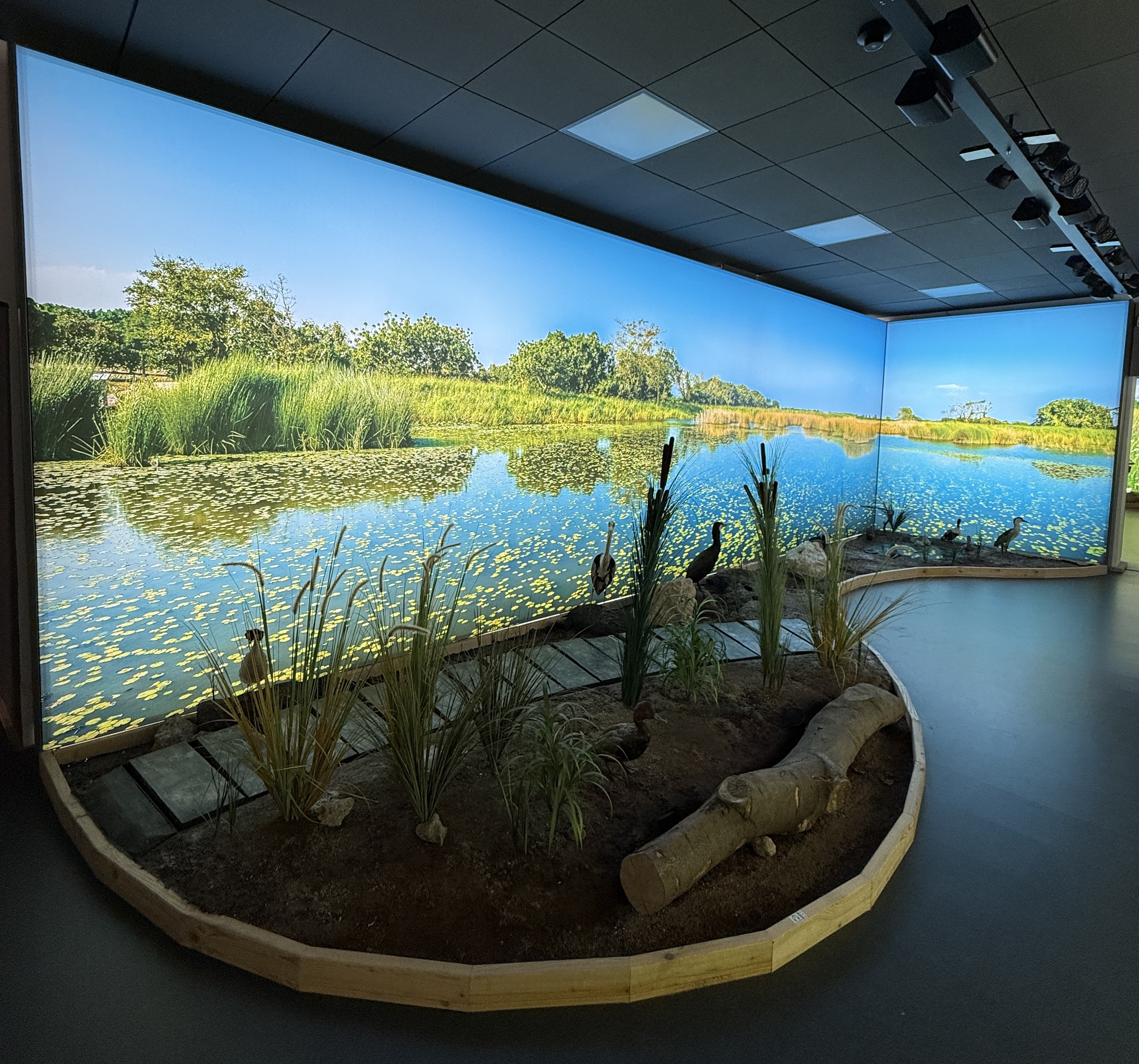 NZM Valtice - Muzeum vinařství, zahradnictví a životního prostředí foto 3