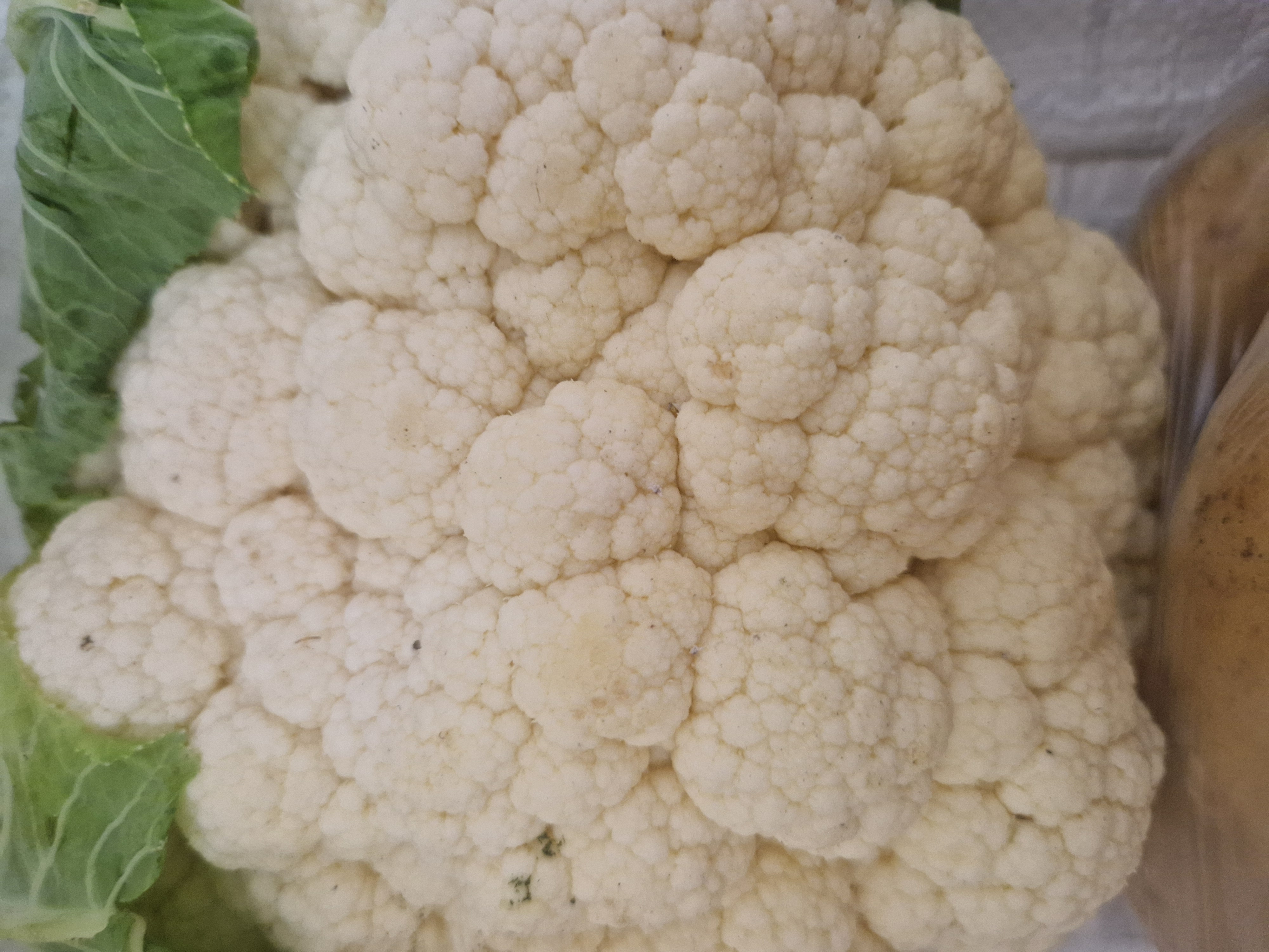 Farmářské trhy na Spořilově foto 4
