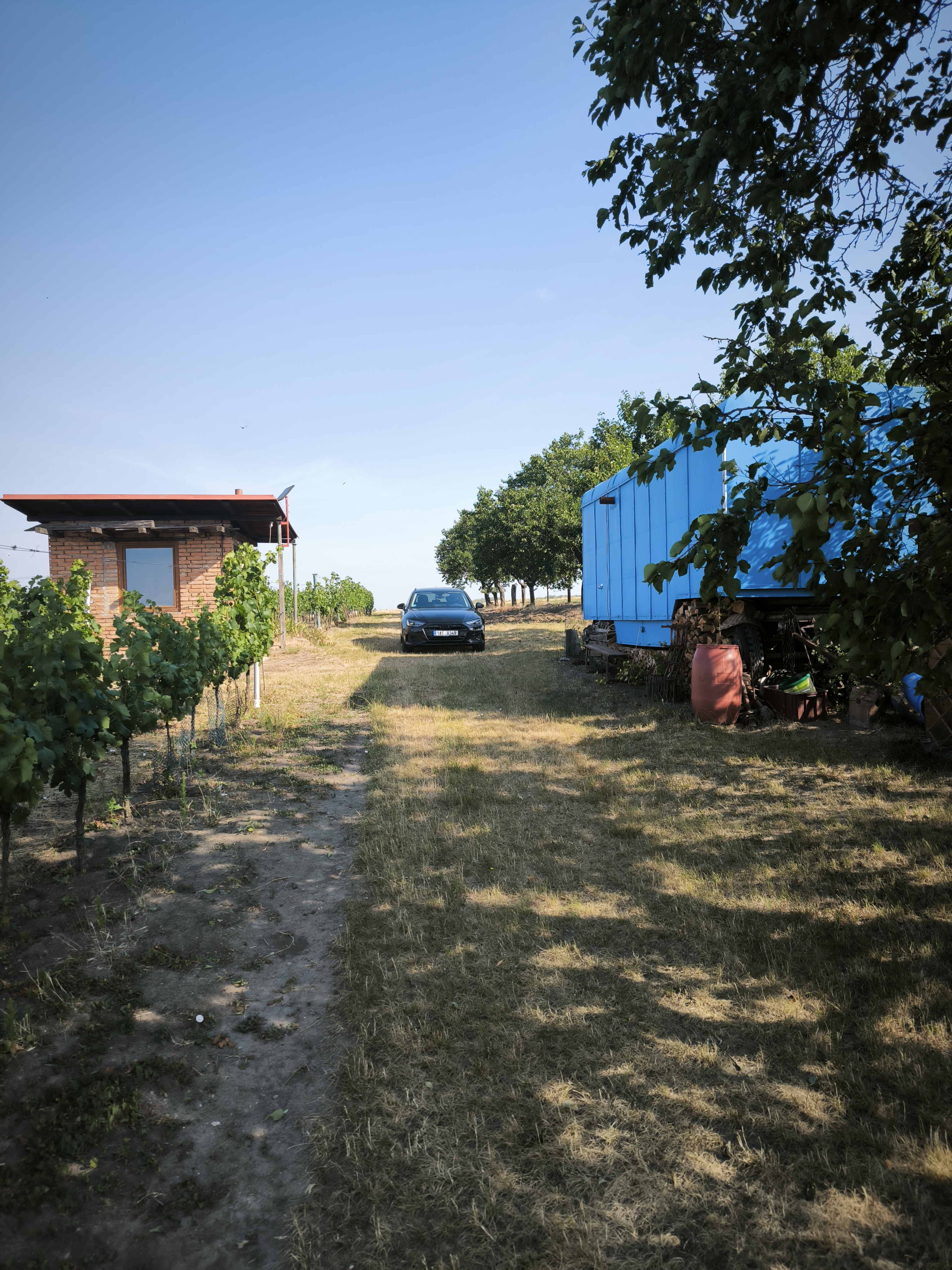 Vyhlídka mezi vinicemi v meruňkovém sadě foto 4