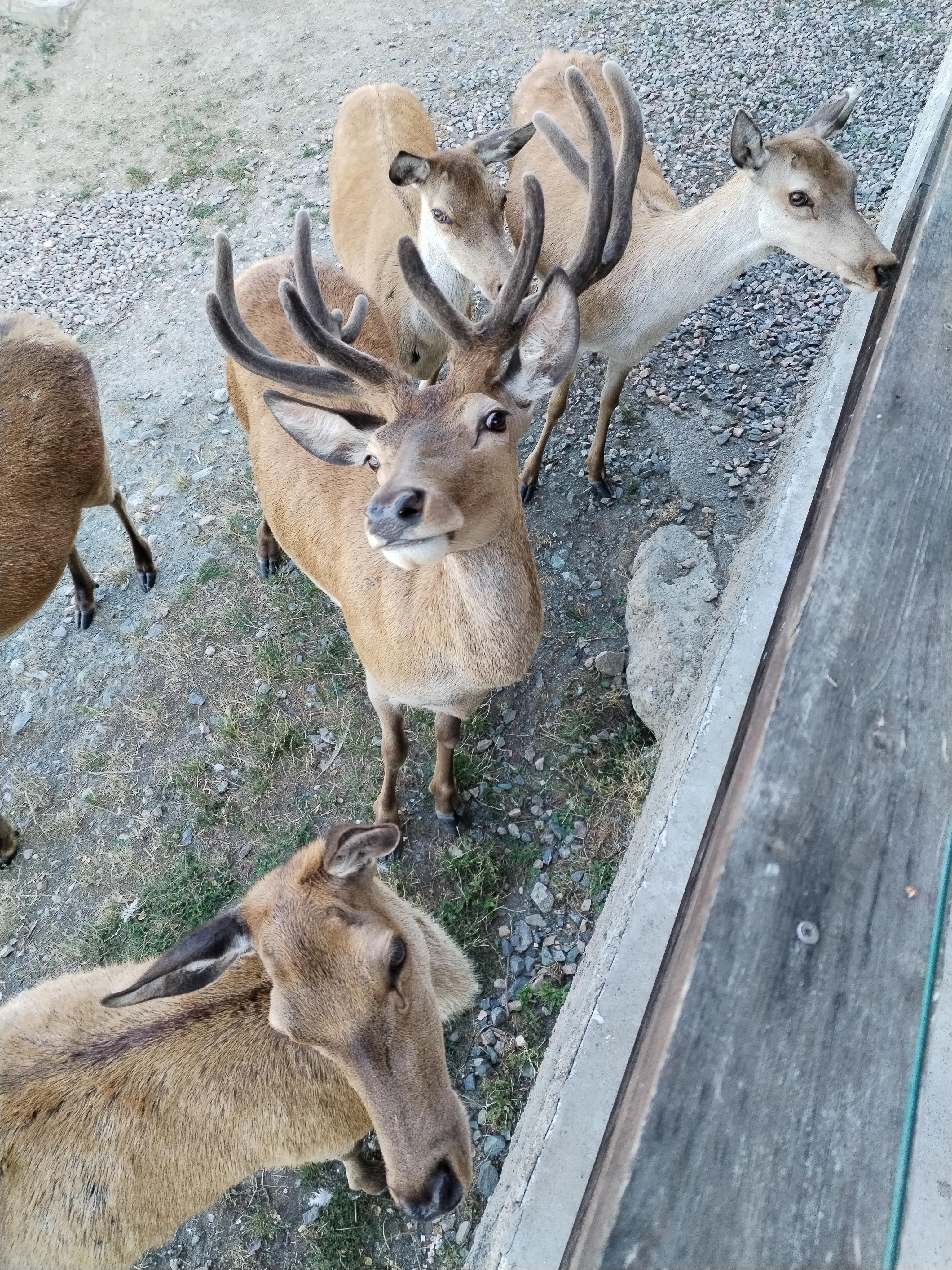 Apartmány na farmě foto 2