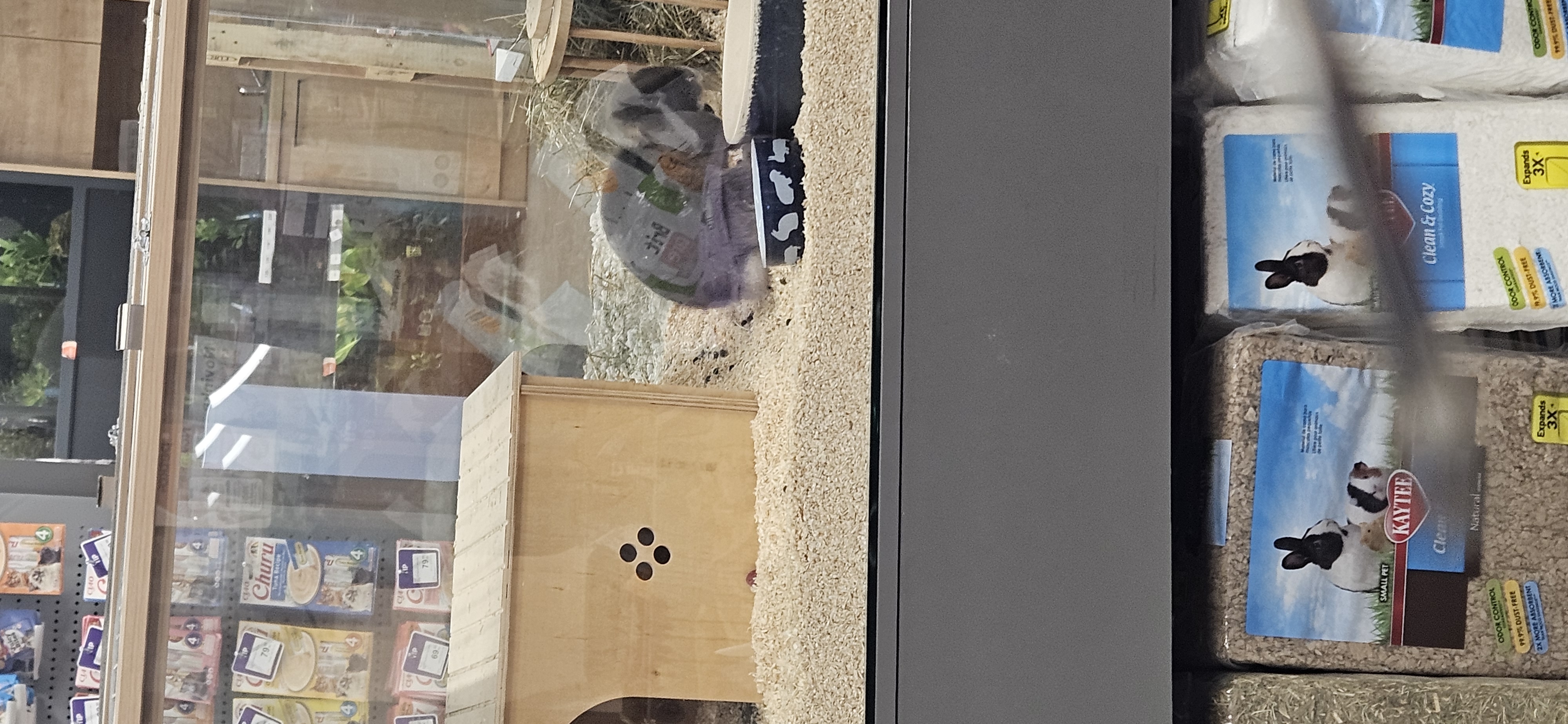 Petcenter.cz foto 2