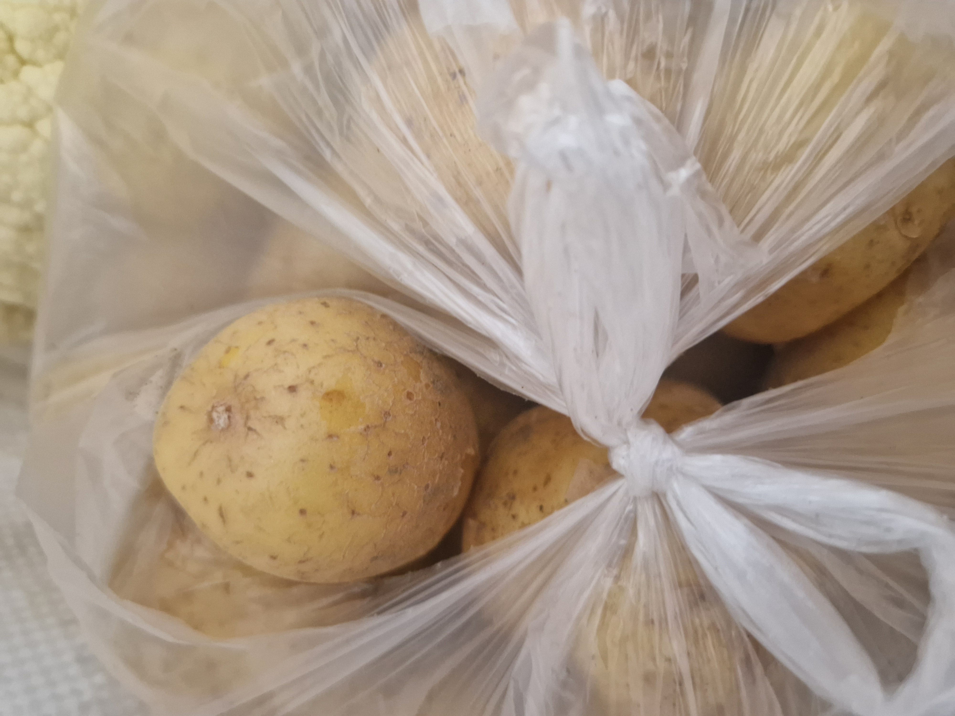 Farmářské trhy na Spořilově foto 1