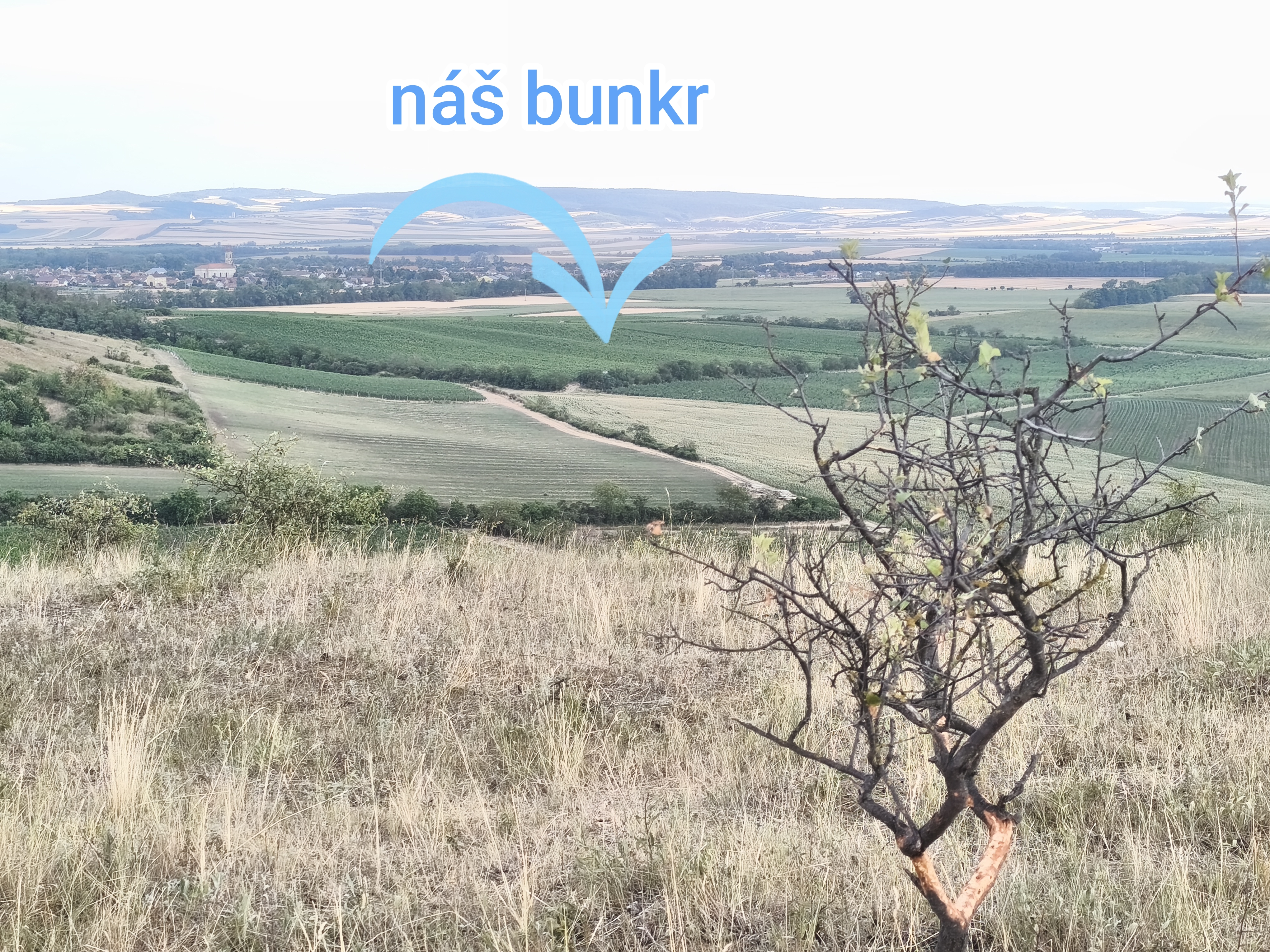 Bunkr C1 foto 3