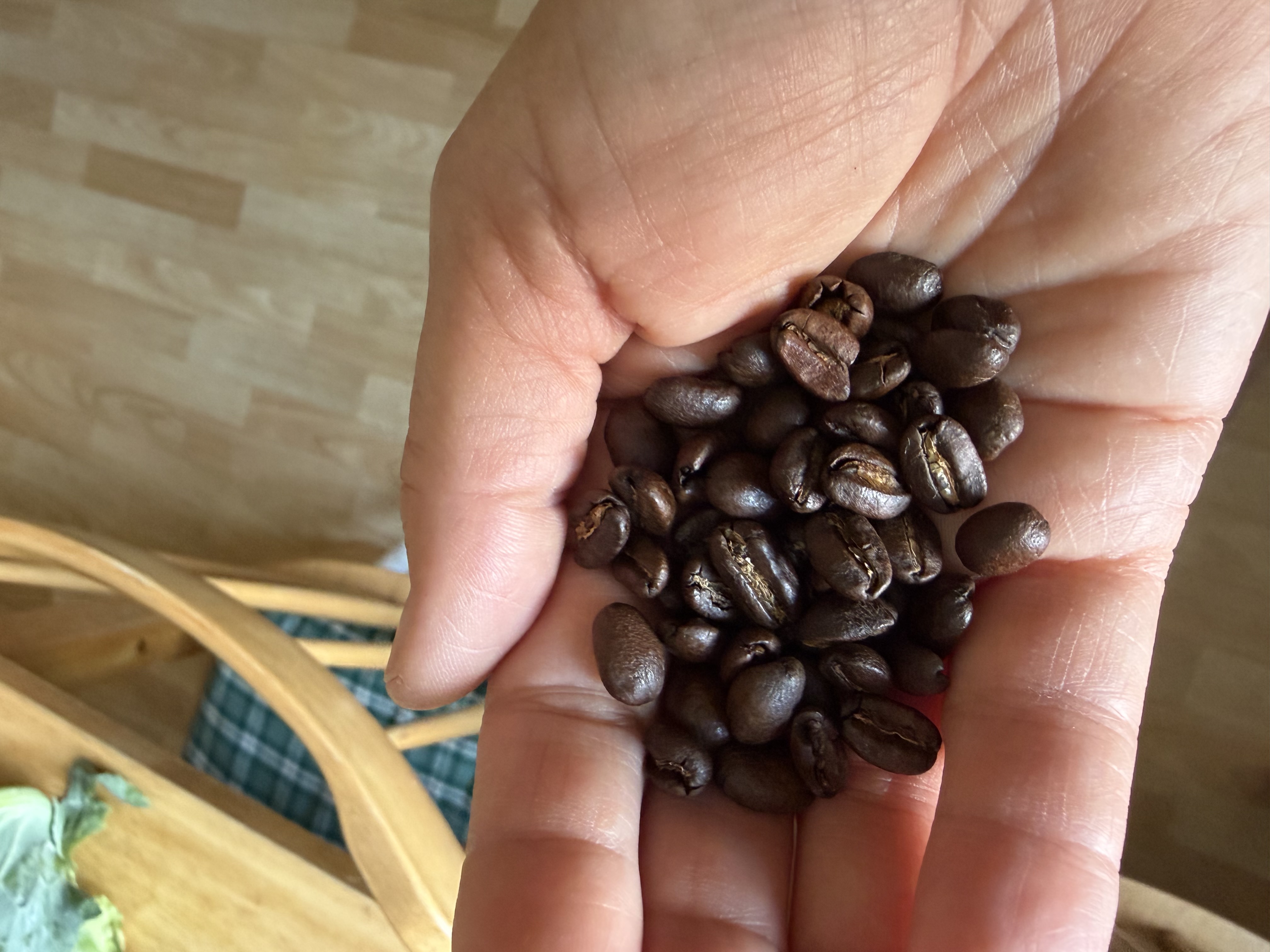 Pražírna kávy Ivančický kafe foto 6