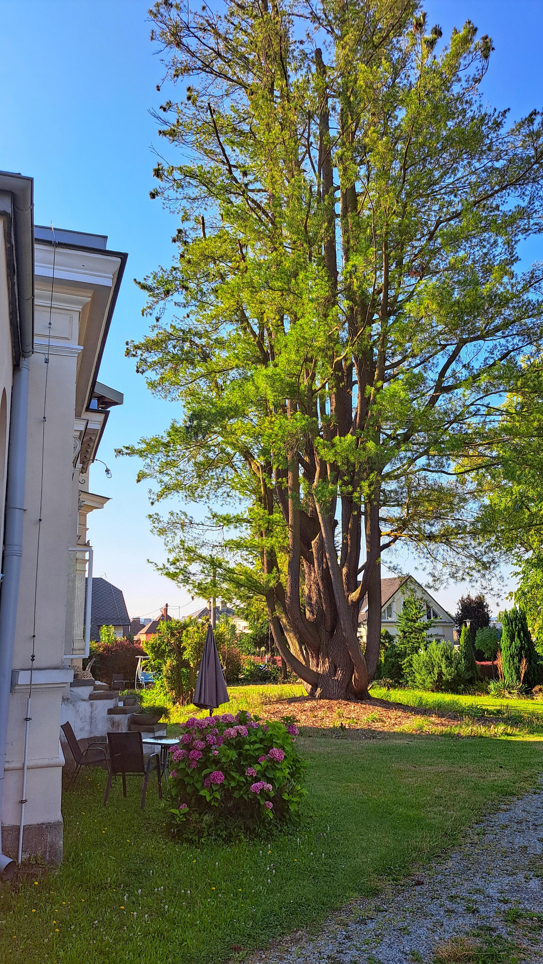 Apartmán U Borovice foto 6