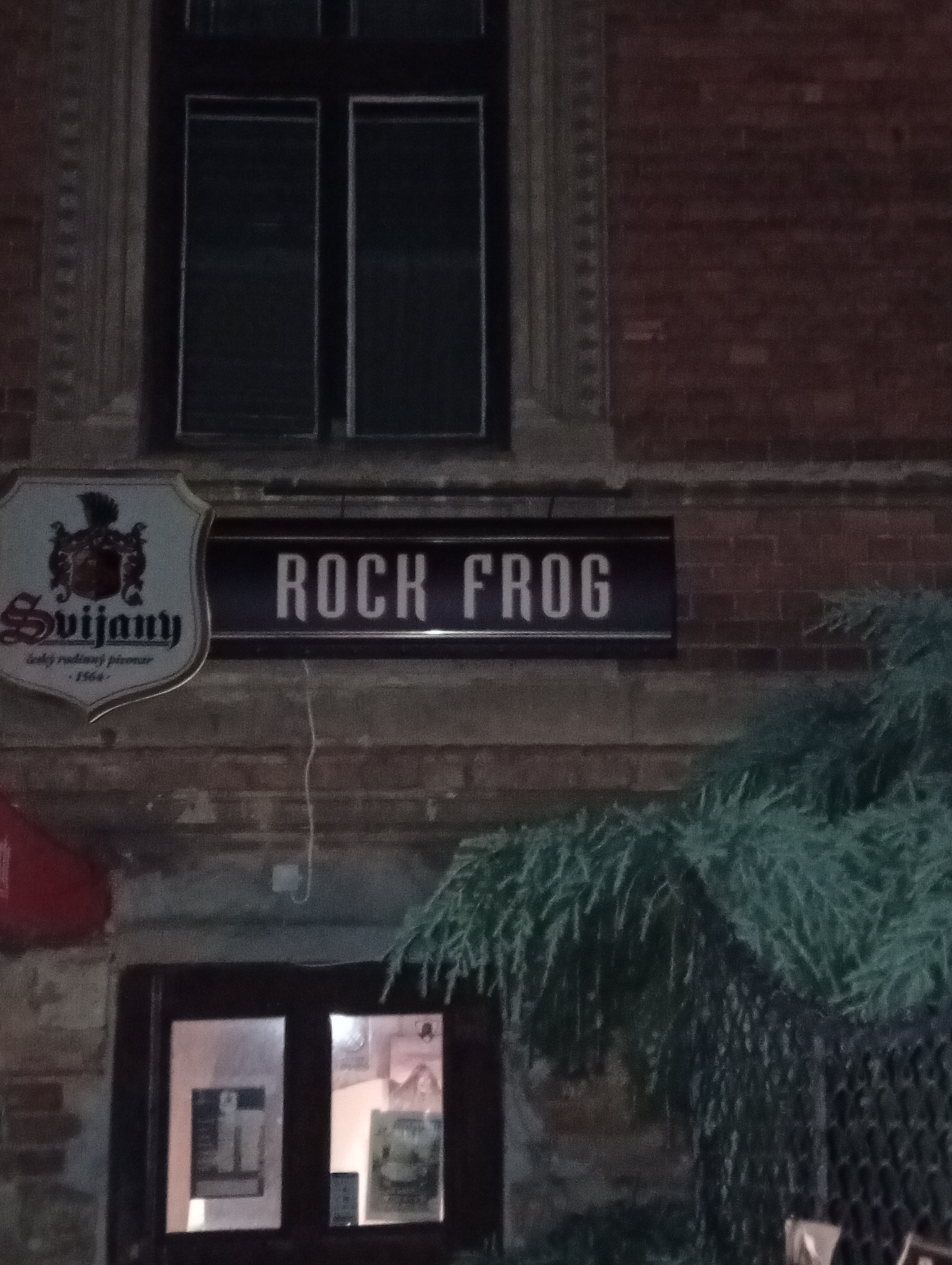Rock Frog foto 6