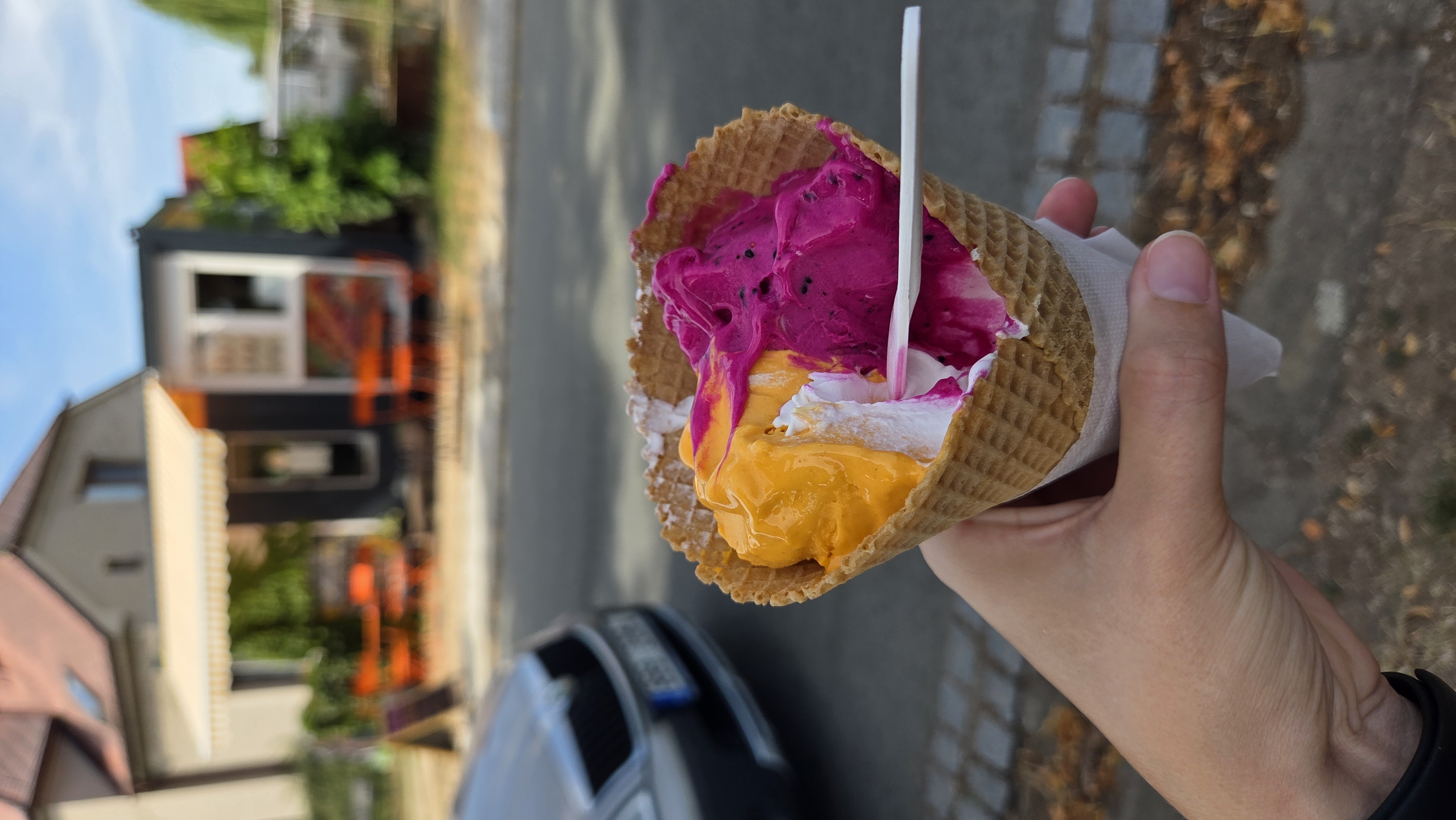 Rakytník Cvrček - zmrzlina foto 1