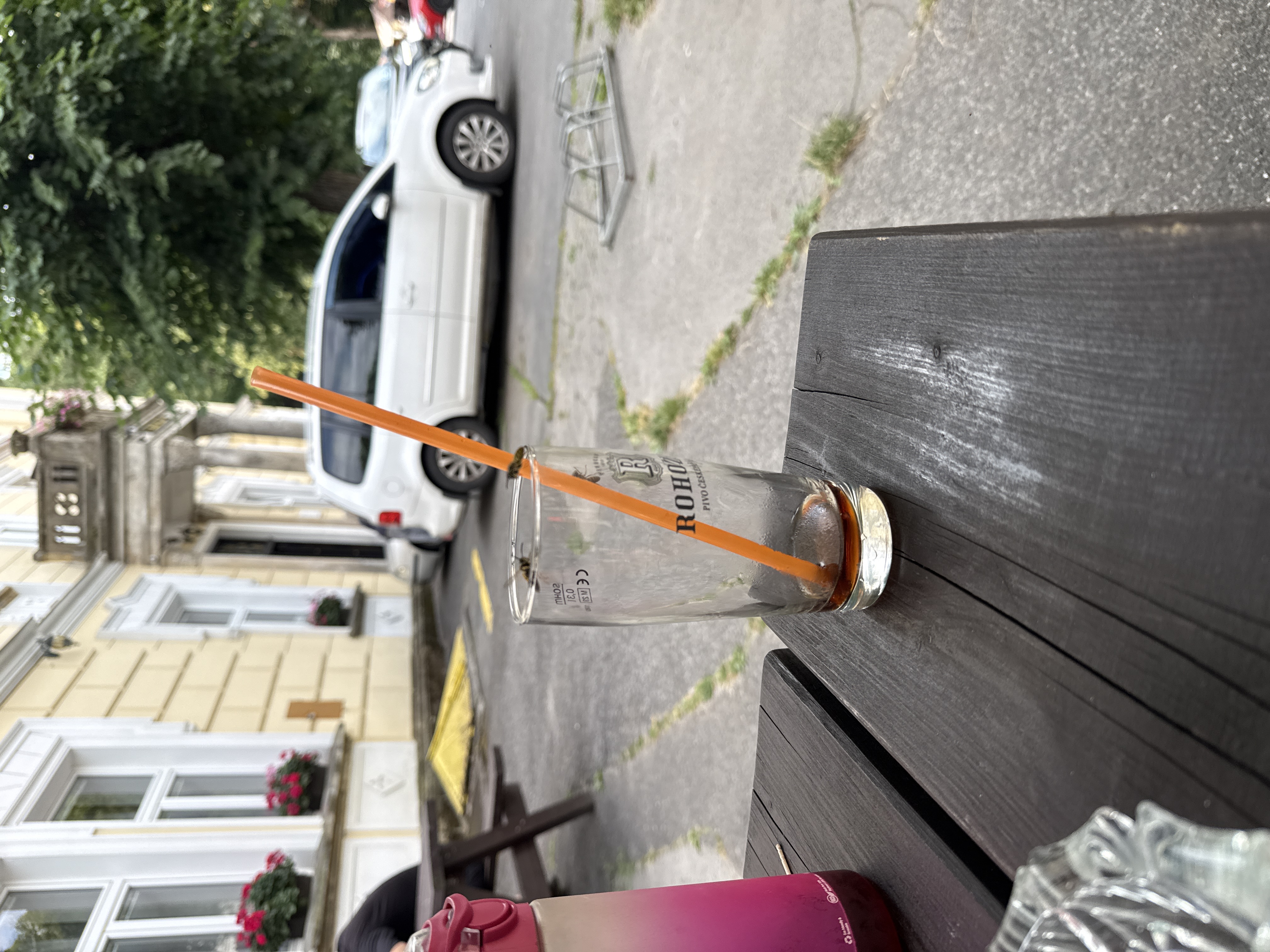 Občerstvení u hotelu Štekl foto 3