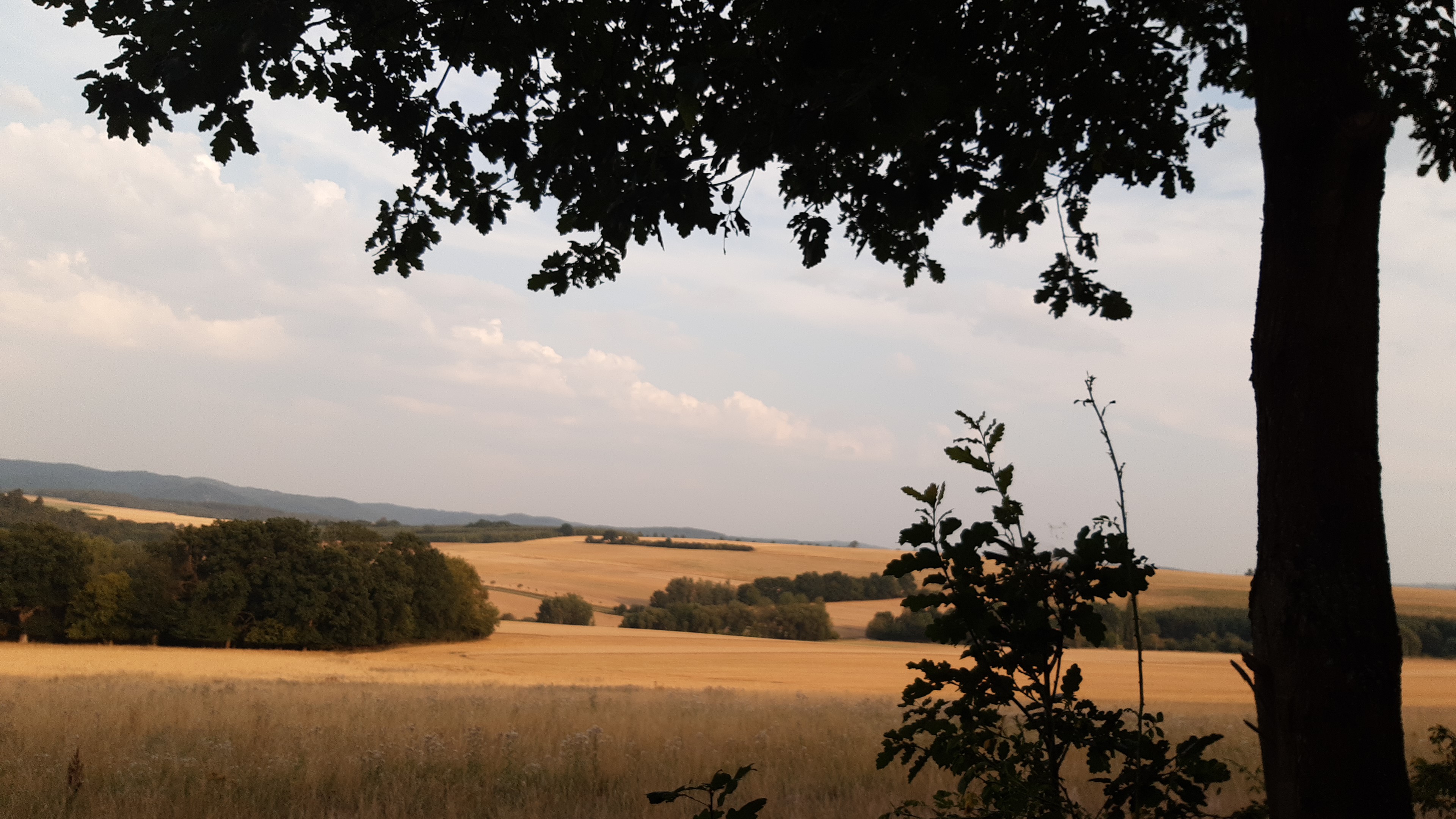 Hospůdka na vyhlídce foto 3