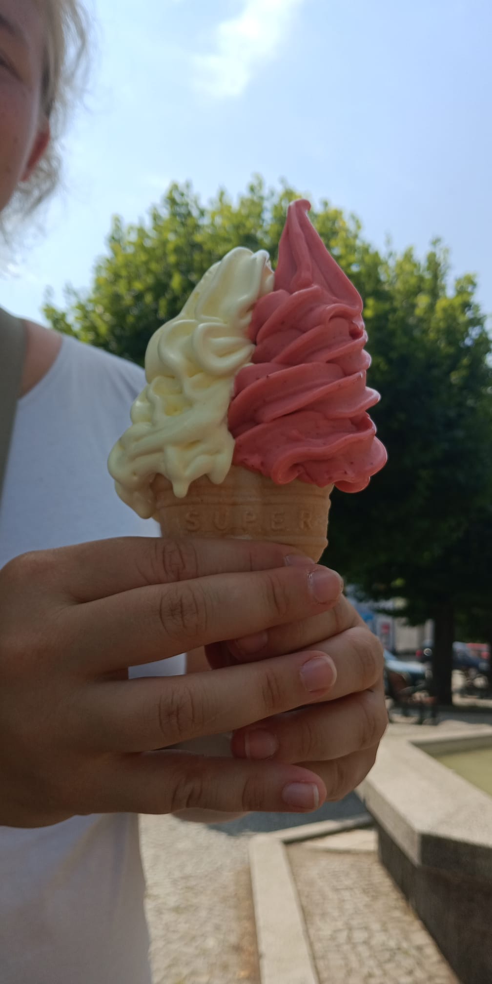 Posázavská zmrzlina foto 2