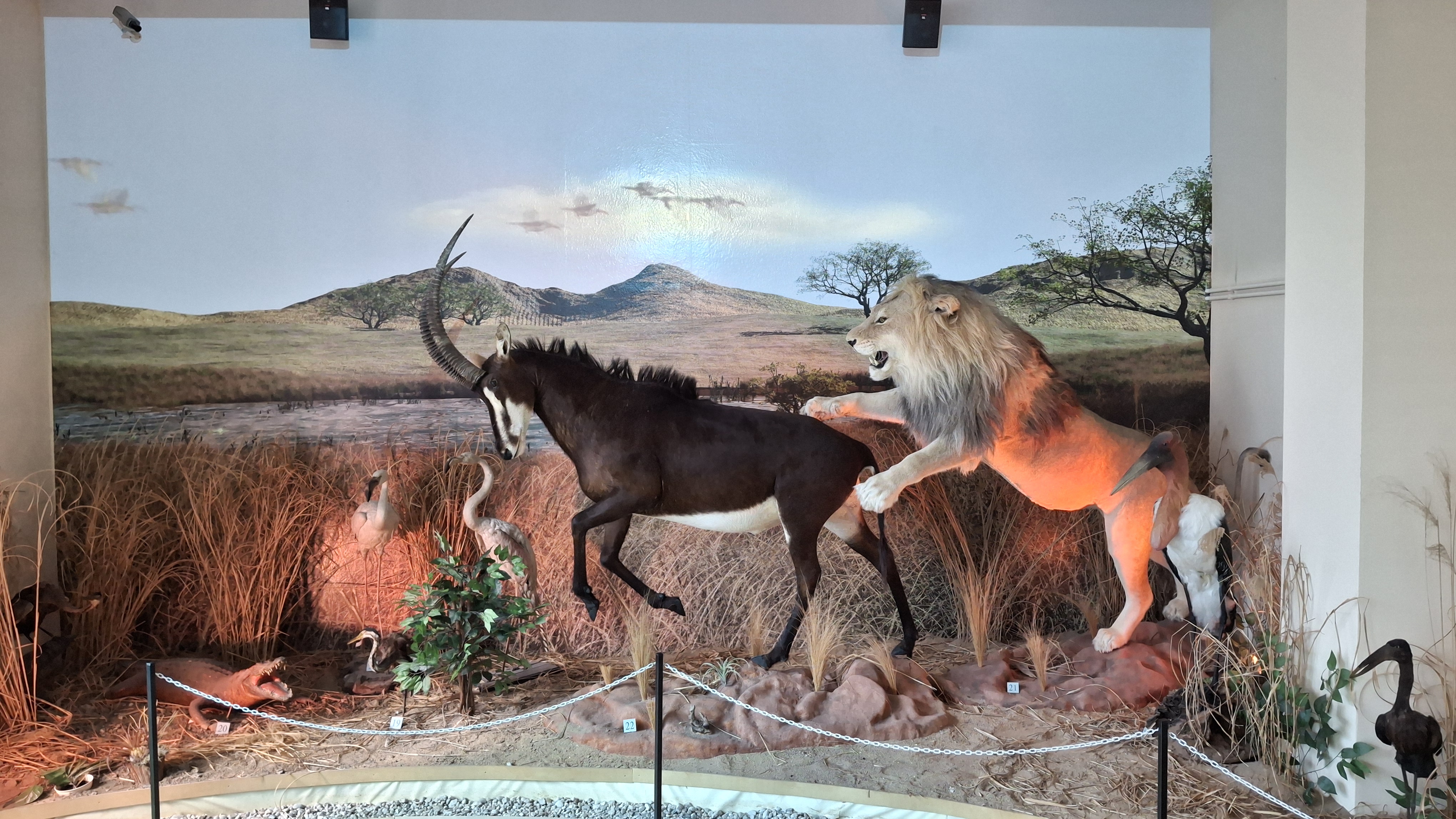 Africké muzeum Dr. Emila Holuba foto 2
