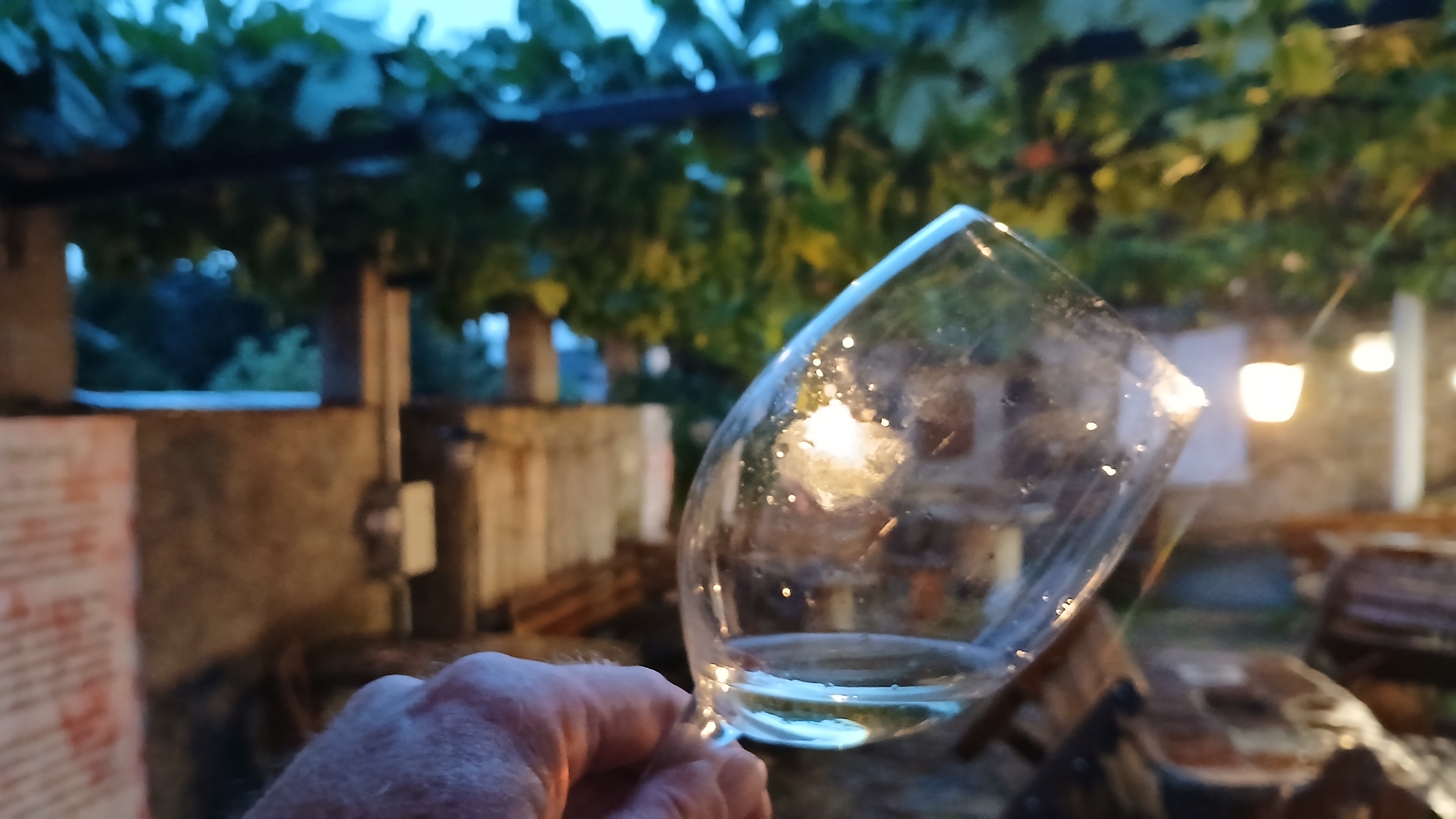 Rodinné vinařství Mikulenkovi foto 5