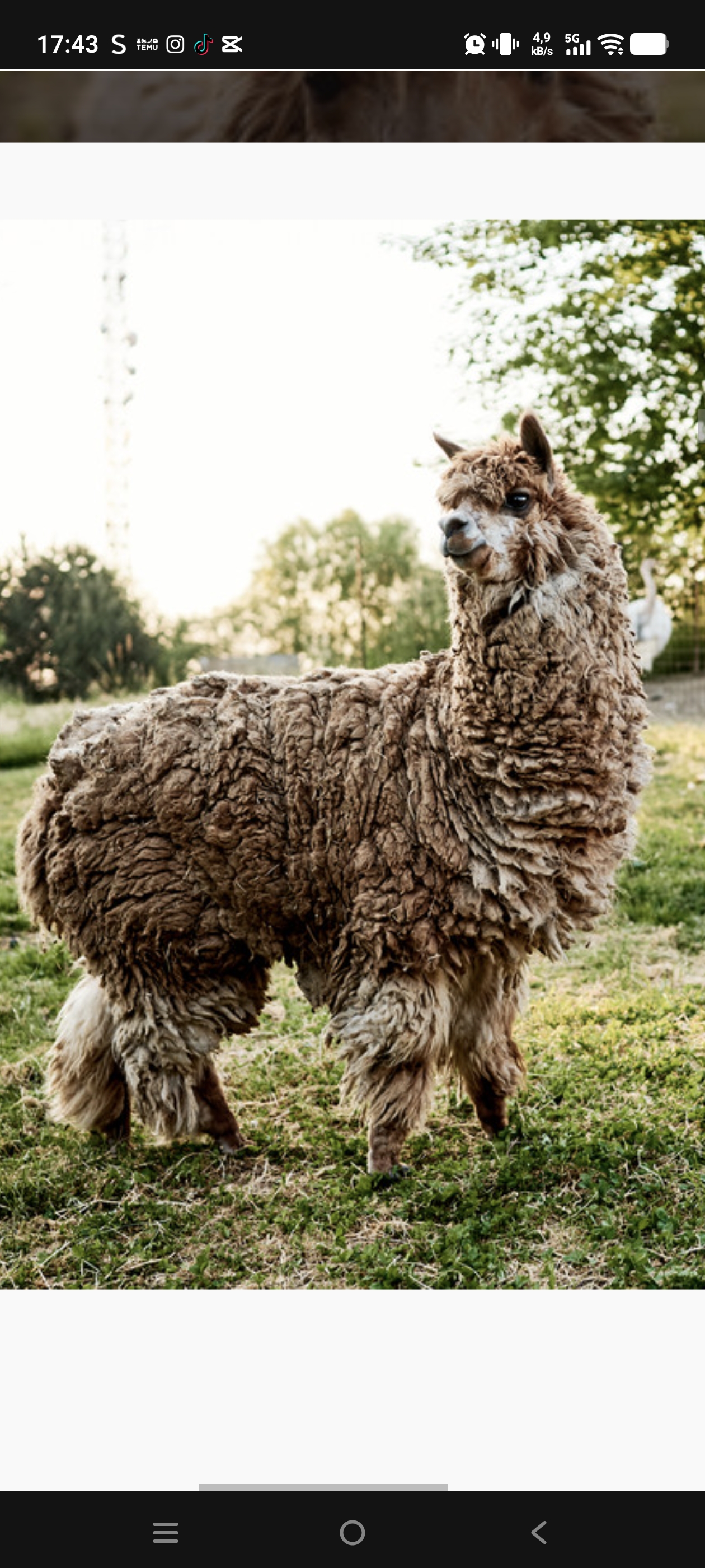 Fauna park foto 4