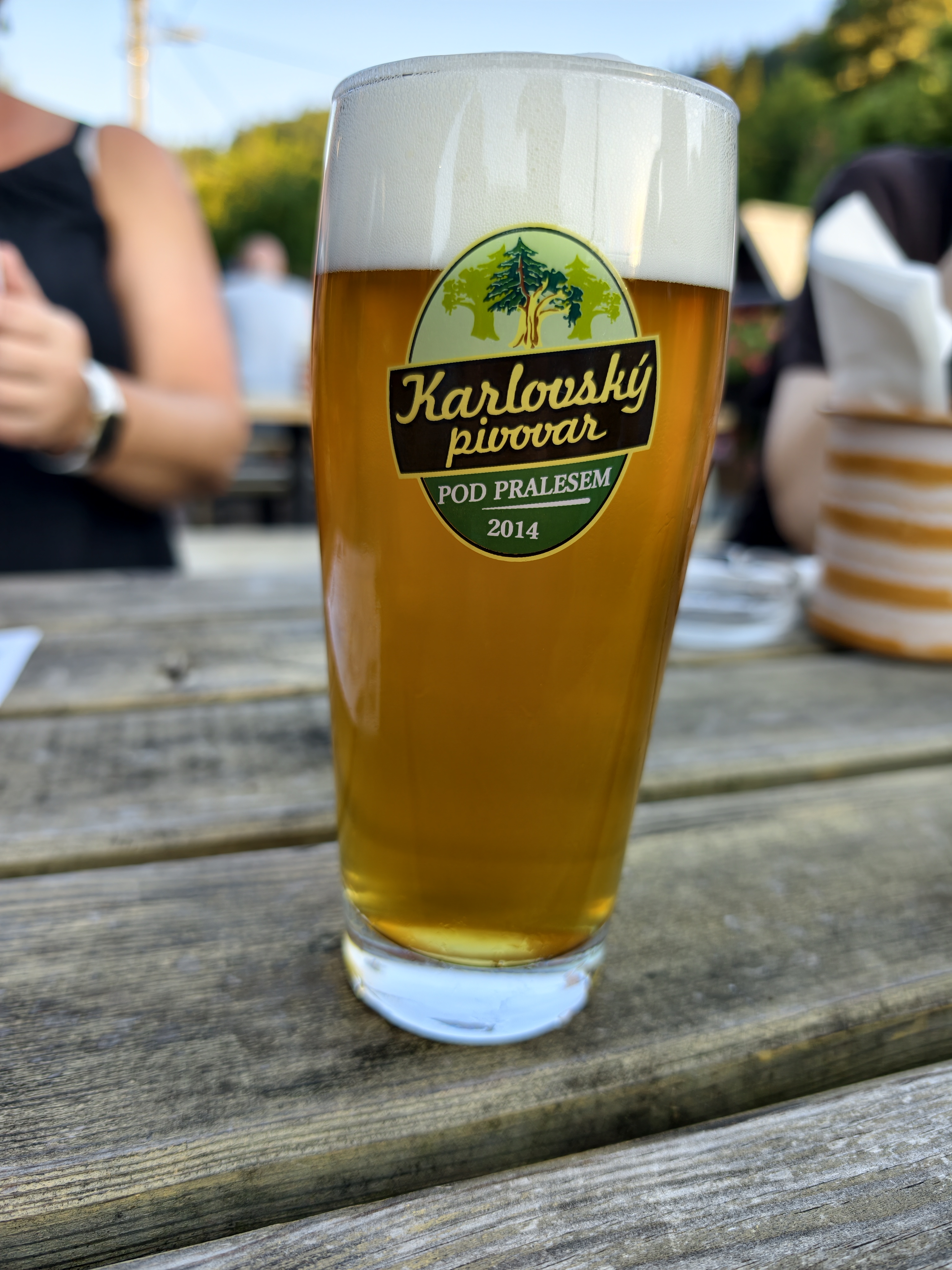 Karlovský pivovar Pod Pralesem foto 2