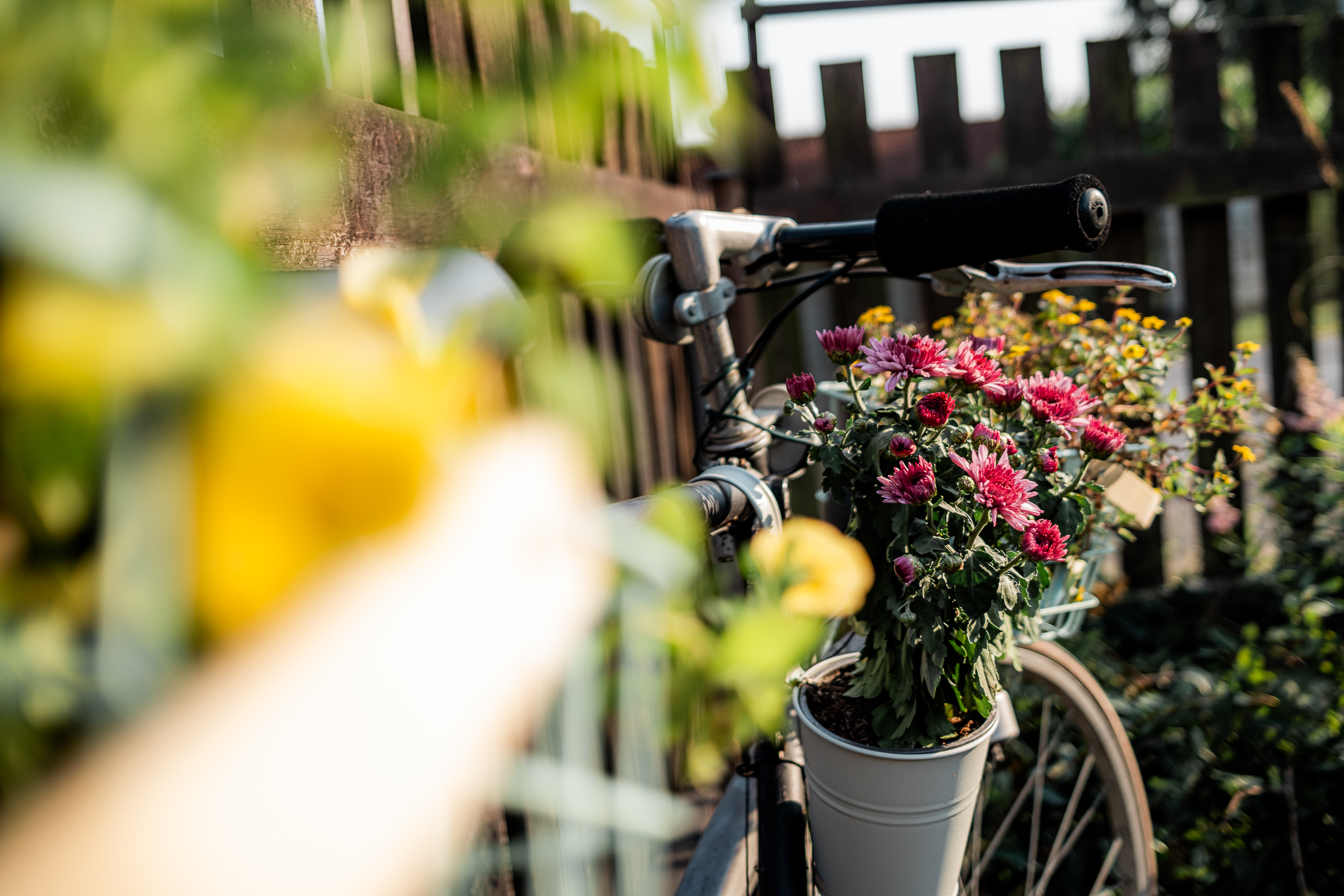 Zahrádka café & bistro foto 5