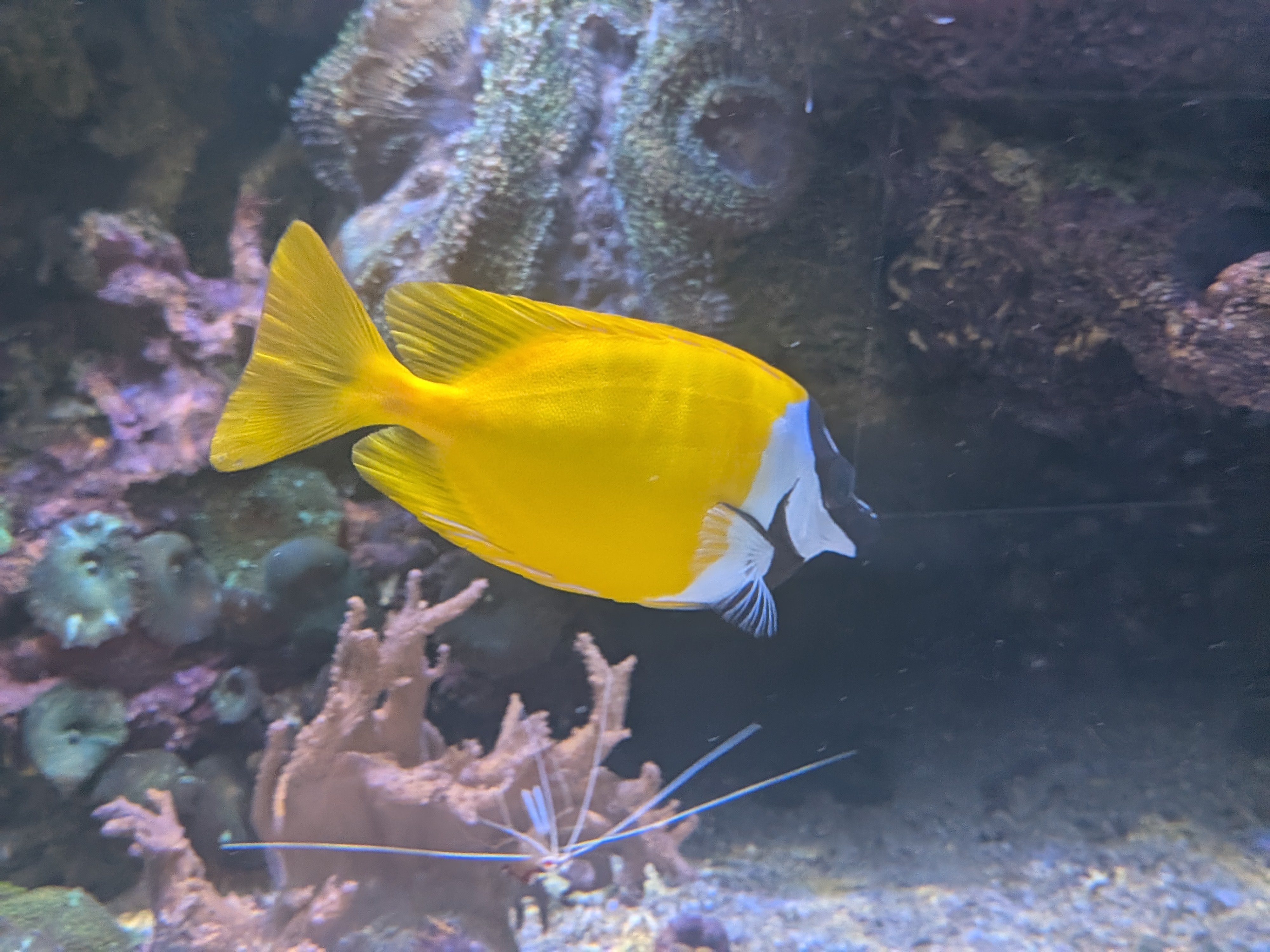 Akva Tera Zoo Plzeň foto 5