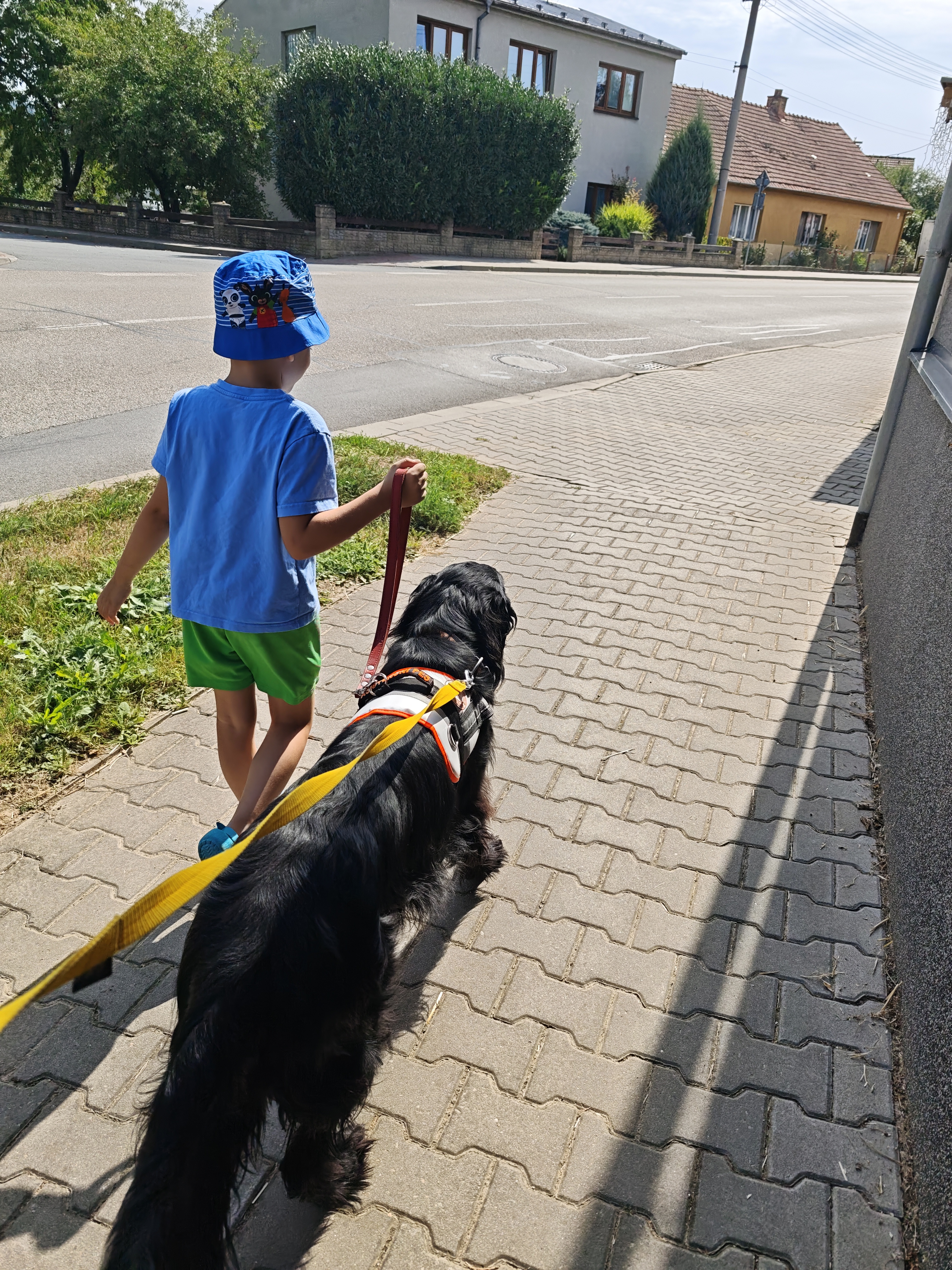 Výcvik asistenčních psů - Pomáháme psím srdcem z.s. foto 1