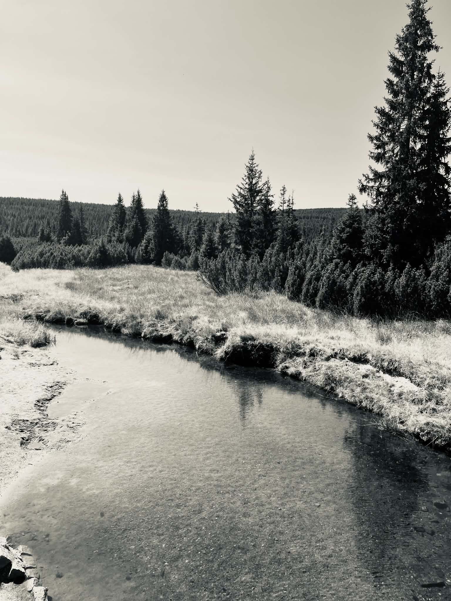 ROUBENKA LIška foto 4